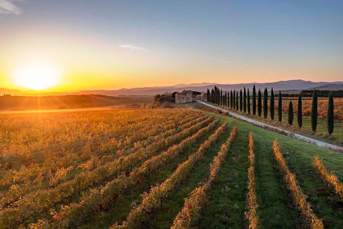 Vigneti di Montalcino in Toscana