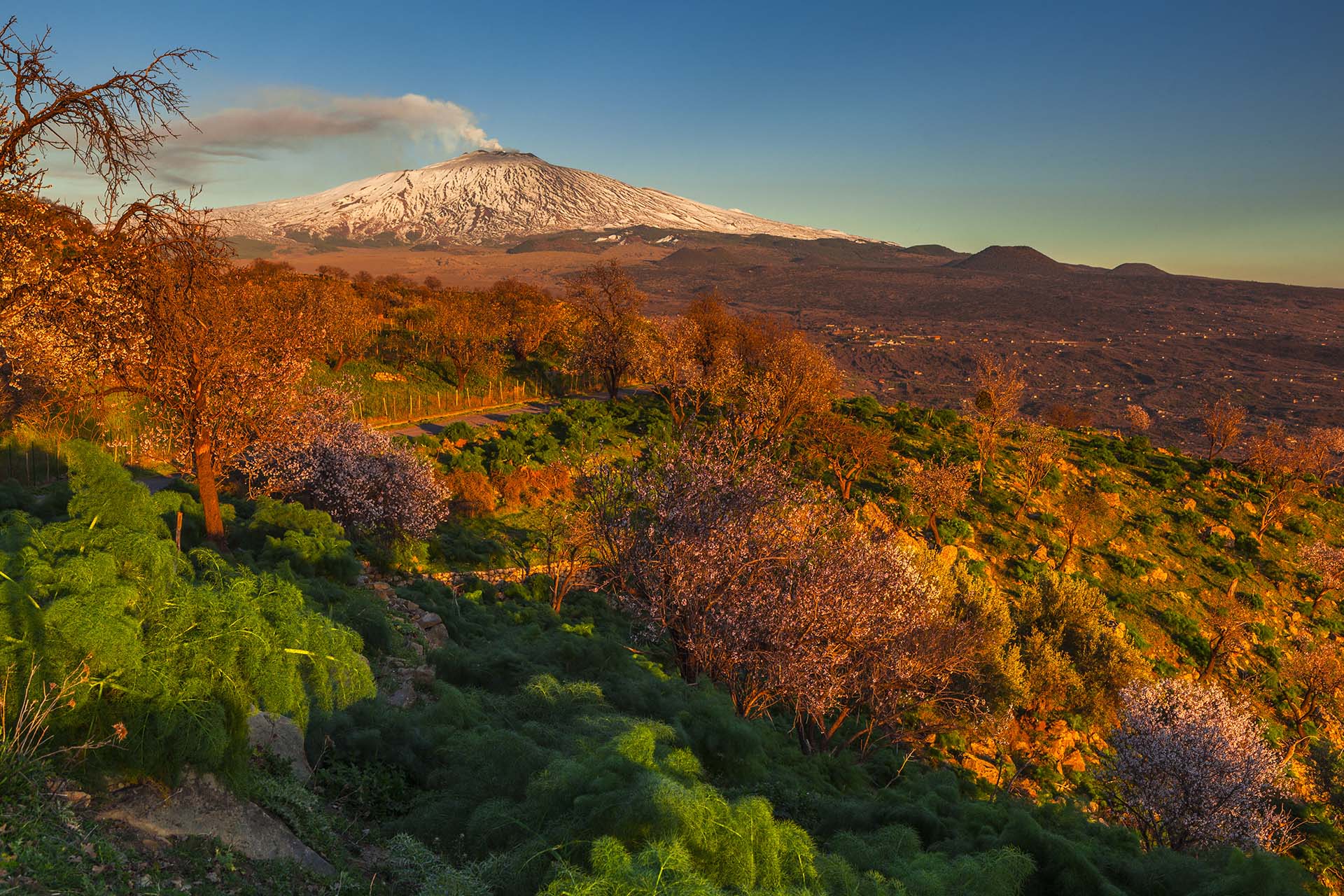 Etna versante ovest, territorio di Bronte