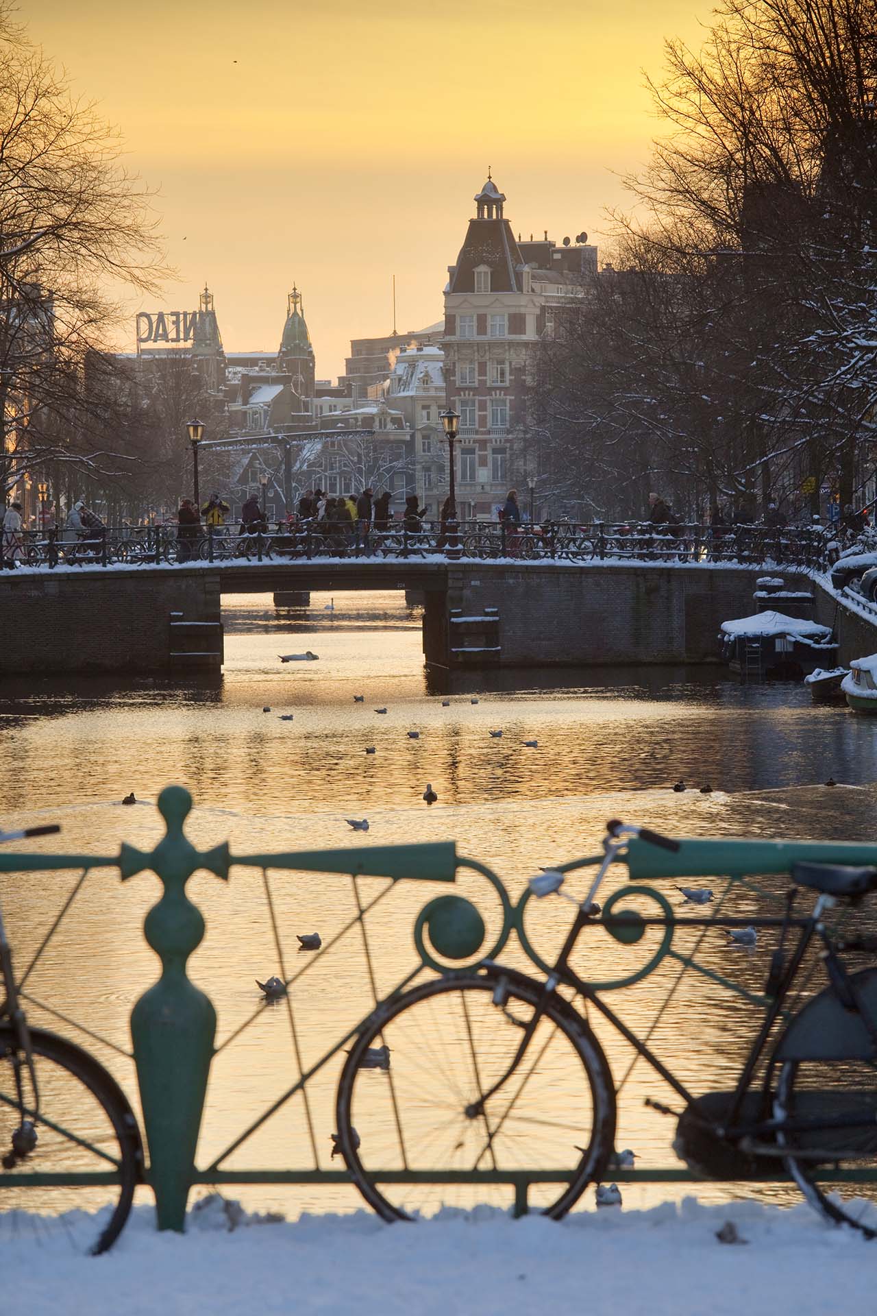 Ponti sui canali di Amsterdam
