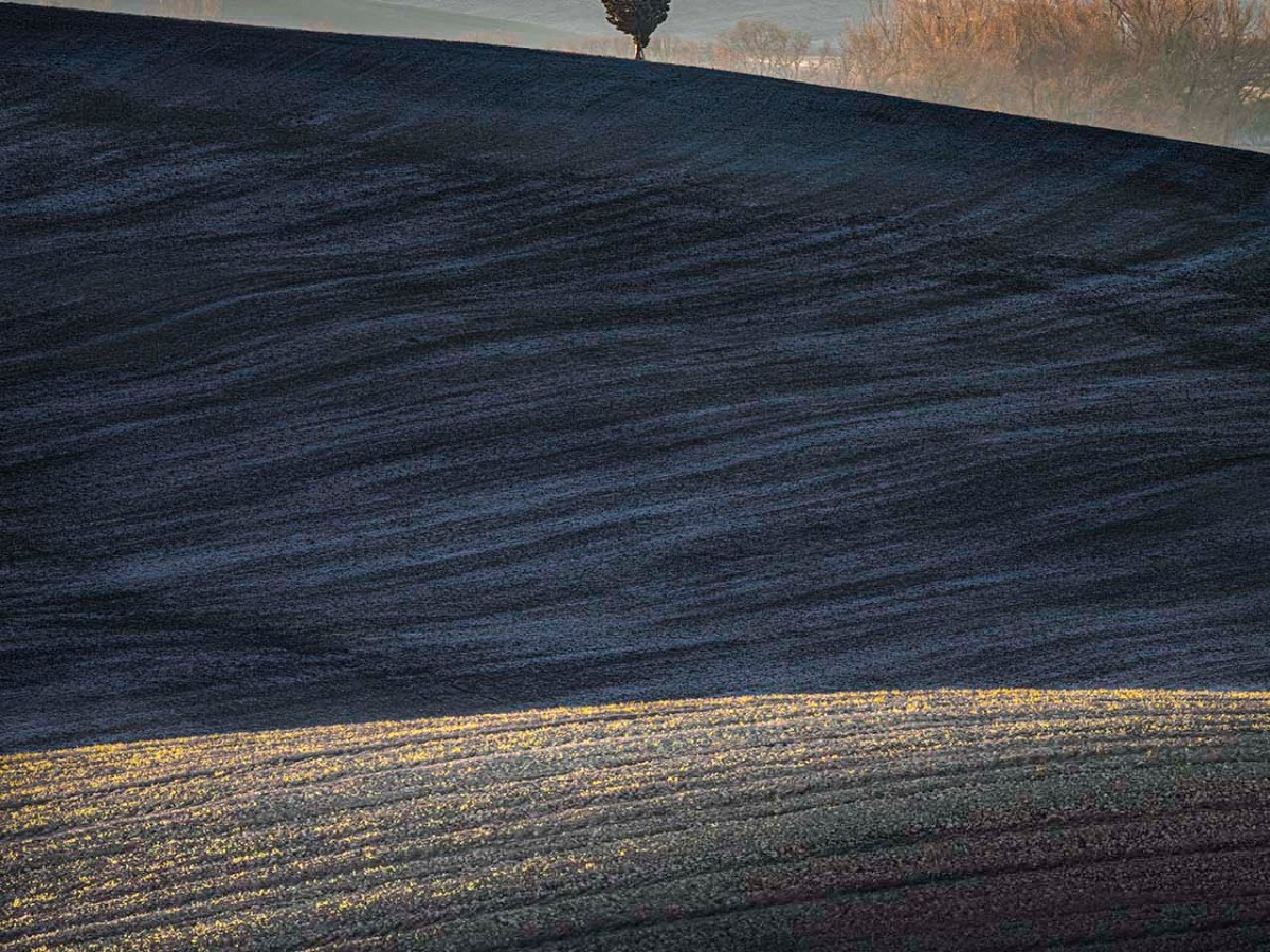 Colline sinuose della Val d'Orcia in Toscana.