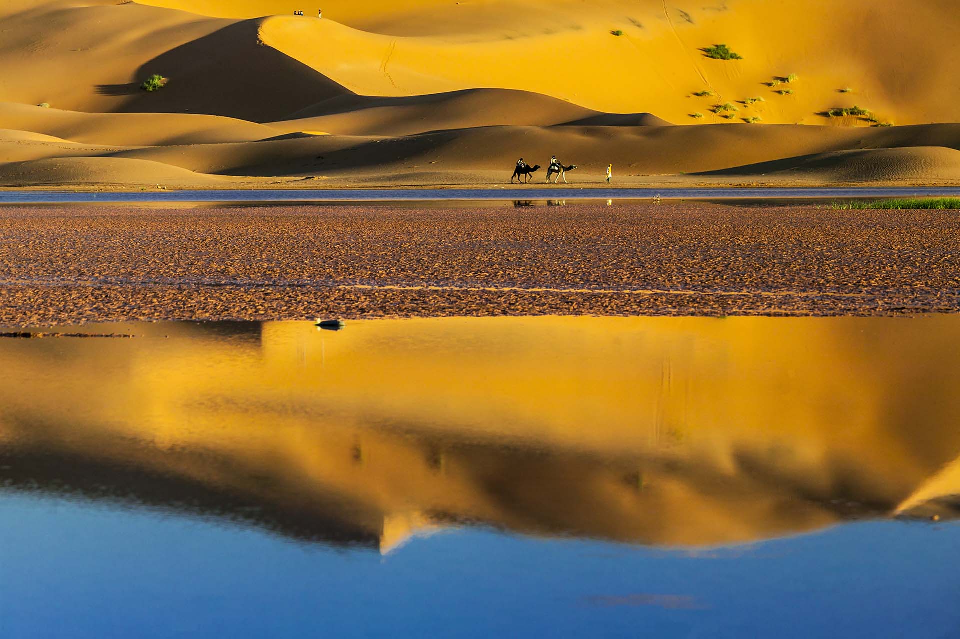 Marocco, il lago Dayet Srji a Merzouca con il passaggio di cammelli tra le dune del deserto Erg Chebbi