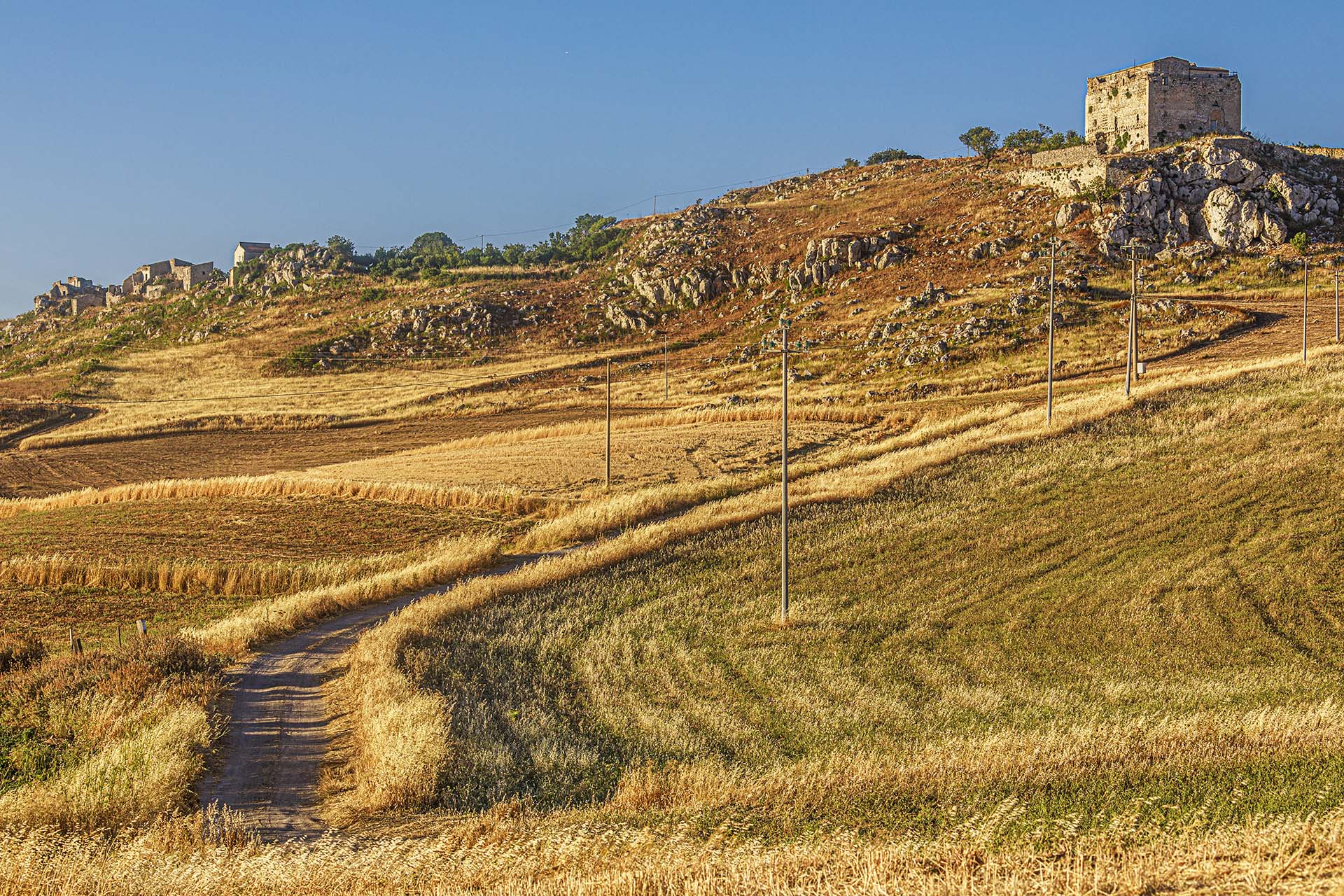 Agrigento, campi di grano a Monte Castelluccio sullo sfondo la Rupe di Gibillina - Fortezza di Castelluccio Svevo di Racalmuto