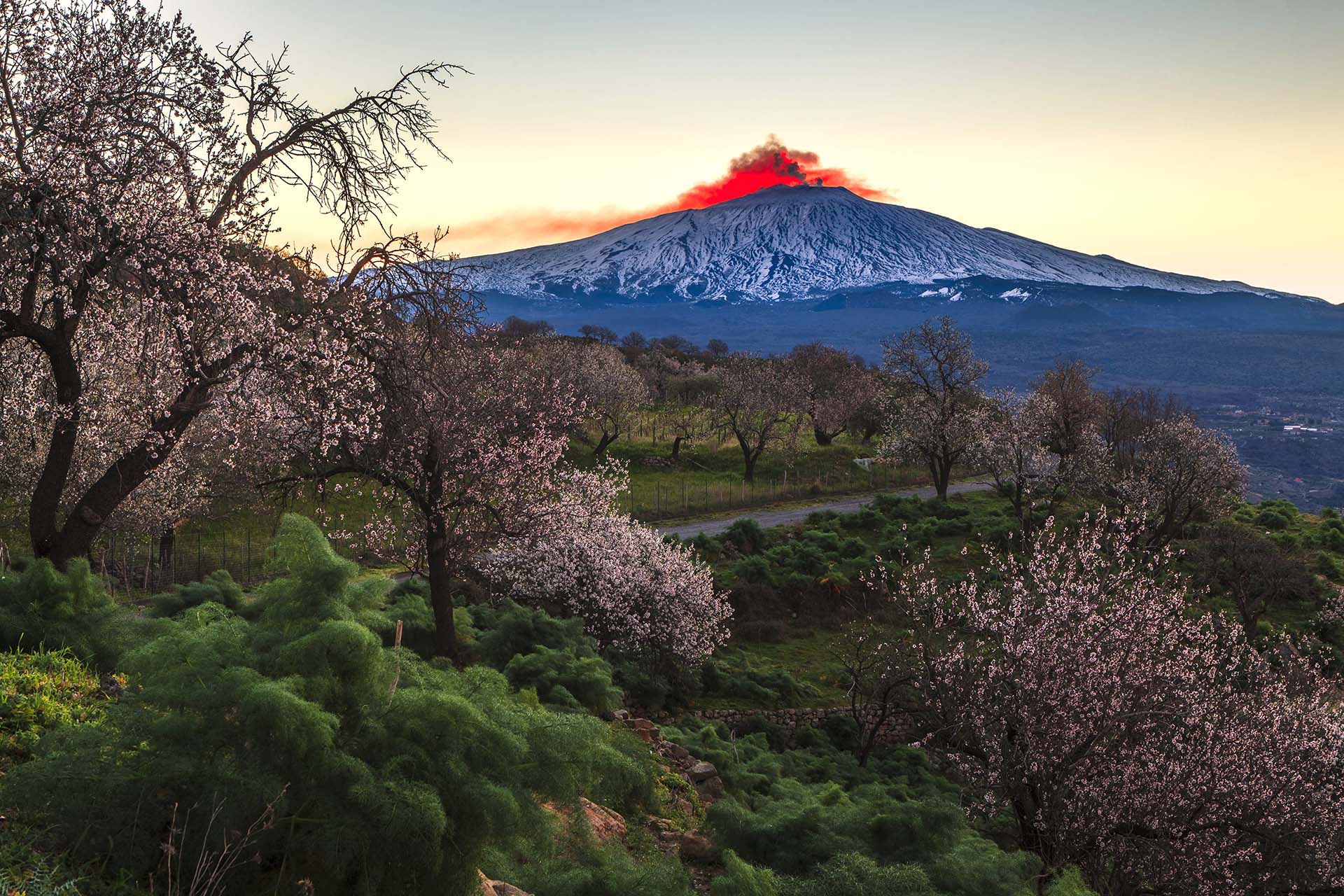 MG_1546-48-Etna versante ovest, mandorli in fiore nel territorio di Bronte