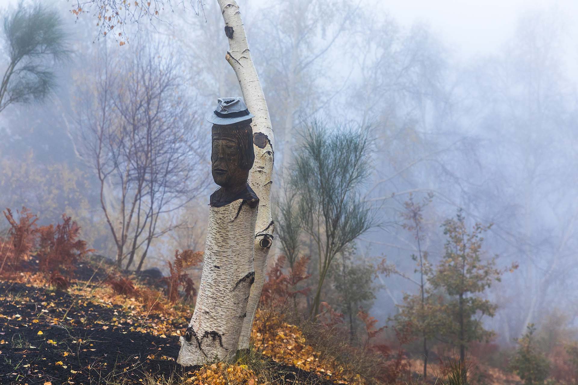 Etna, i volti della natura tra i boschi del Rifugio Citelli