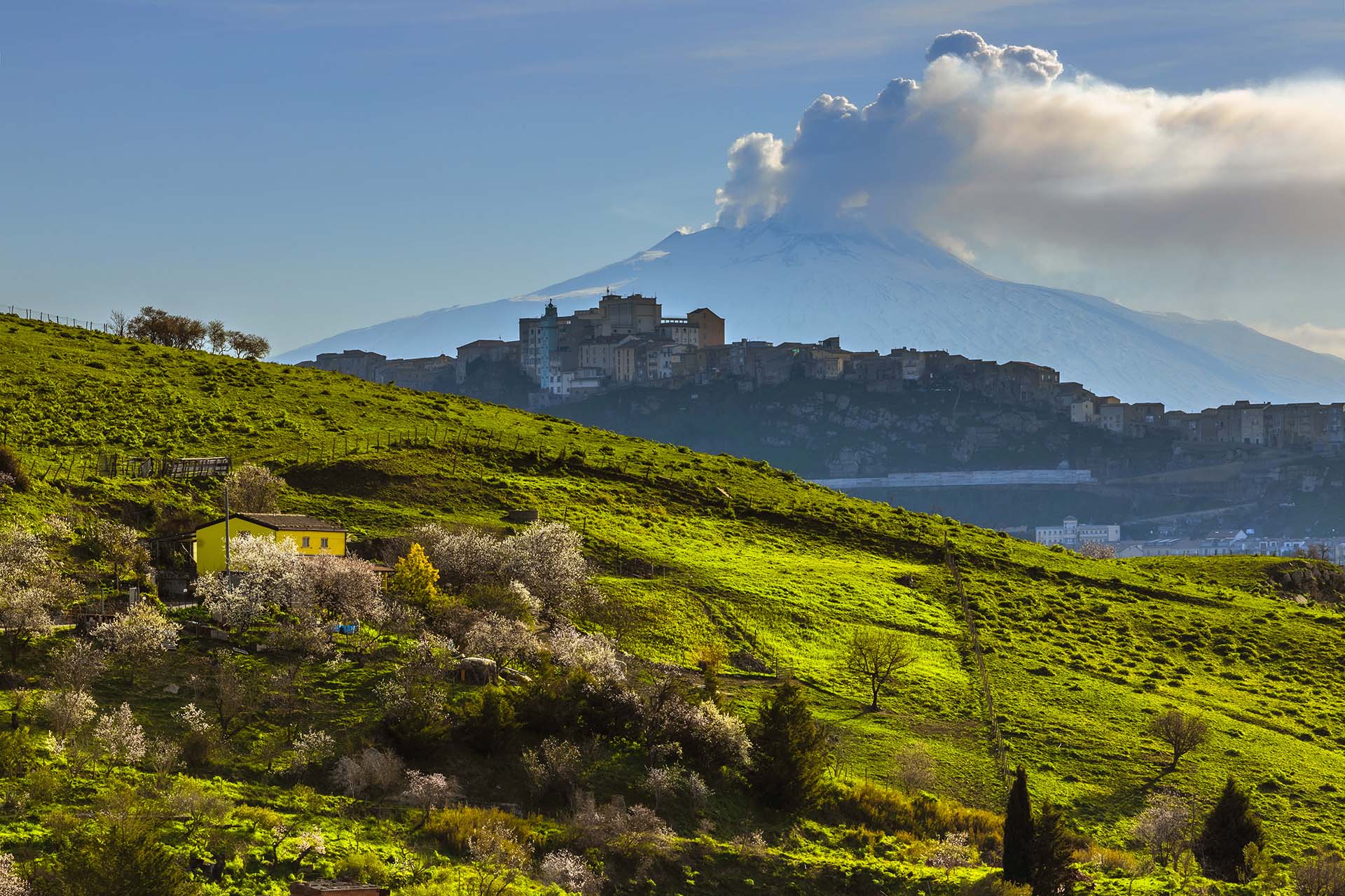 Enna, il borgo di Troina tra le campagne in fiore con la vista dell'Etna in eruzione