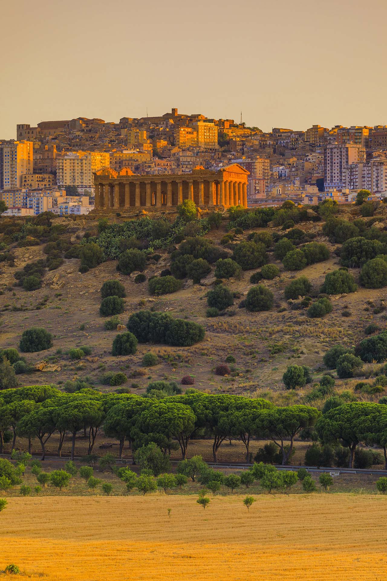 0A1A6764-Agrigento capitale della cultura 2025. Valle dei Templi, il Tempio della Concordia e la città di Agrigento