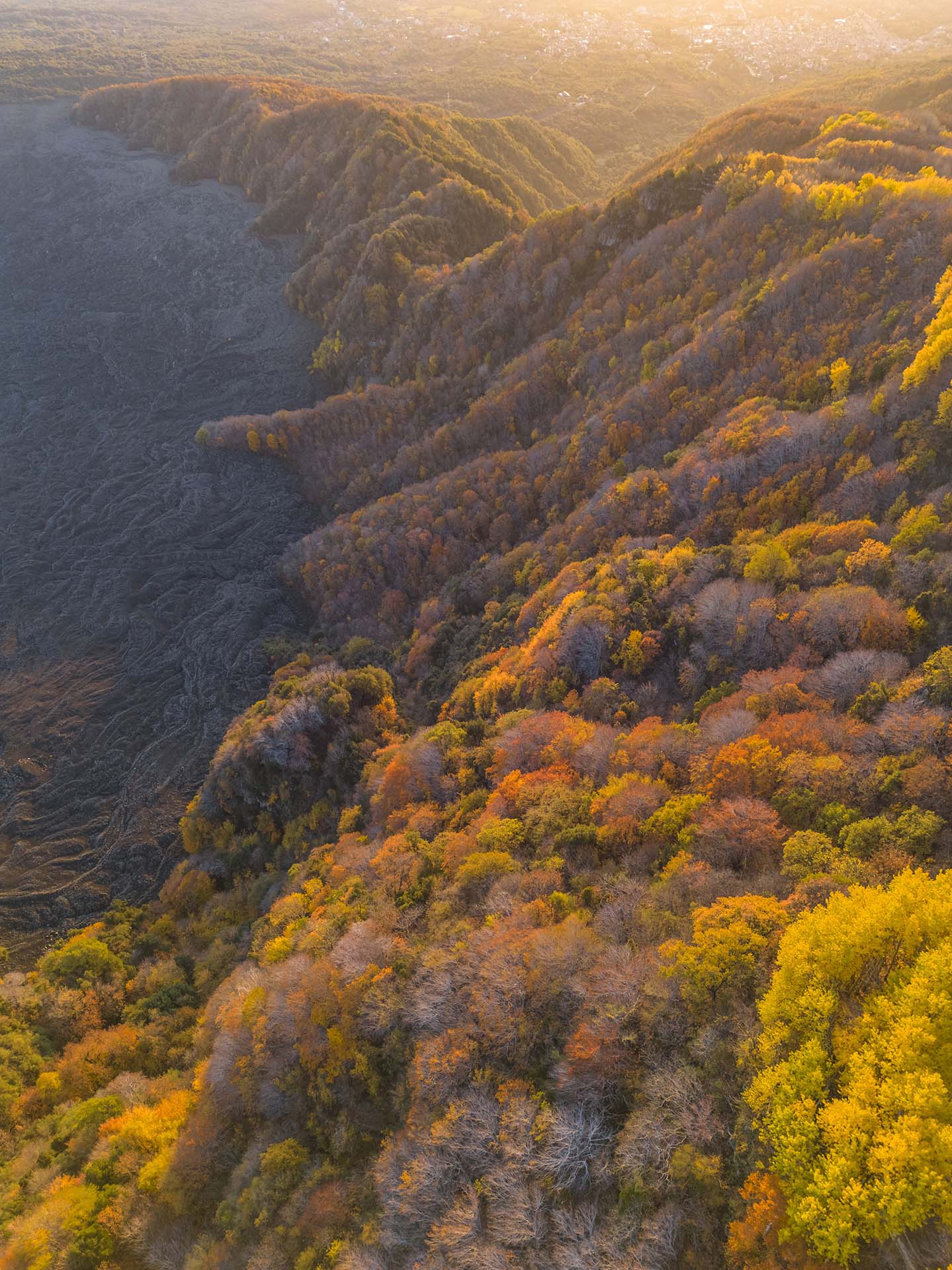 Etna, i boschi della Timpa di Val Calanna