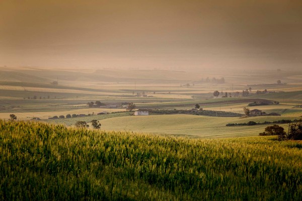 Piana di Catania, le campagne di Borgo Franchetto