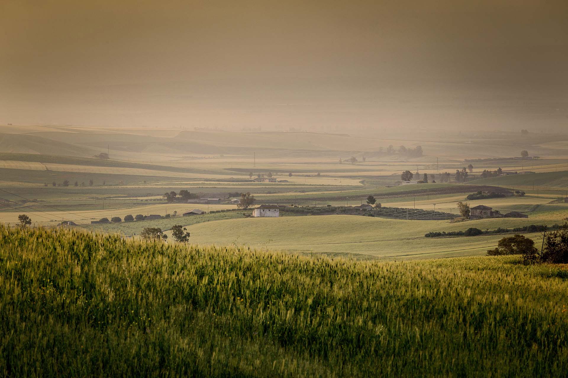 Piana di Catania, le campagne di Borgo Franchetto