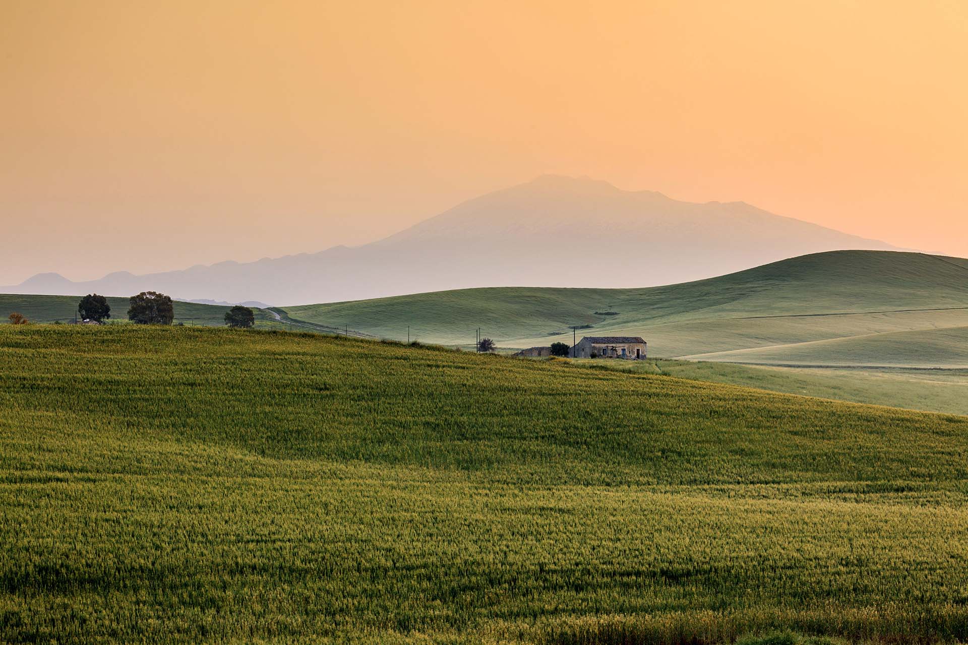 Etna, le campagne di Borgo Franchetto ai confini della Piana di Catania