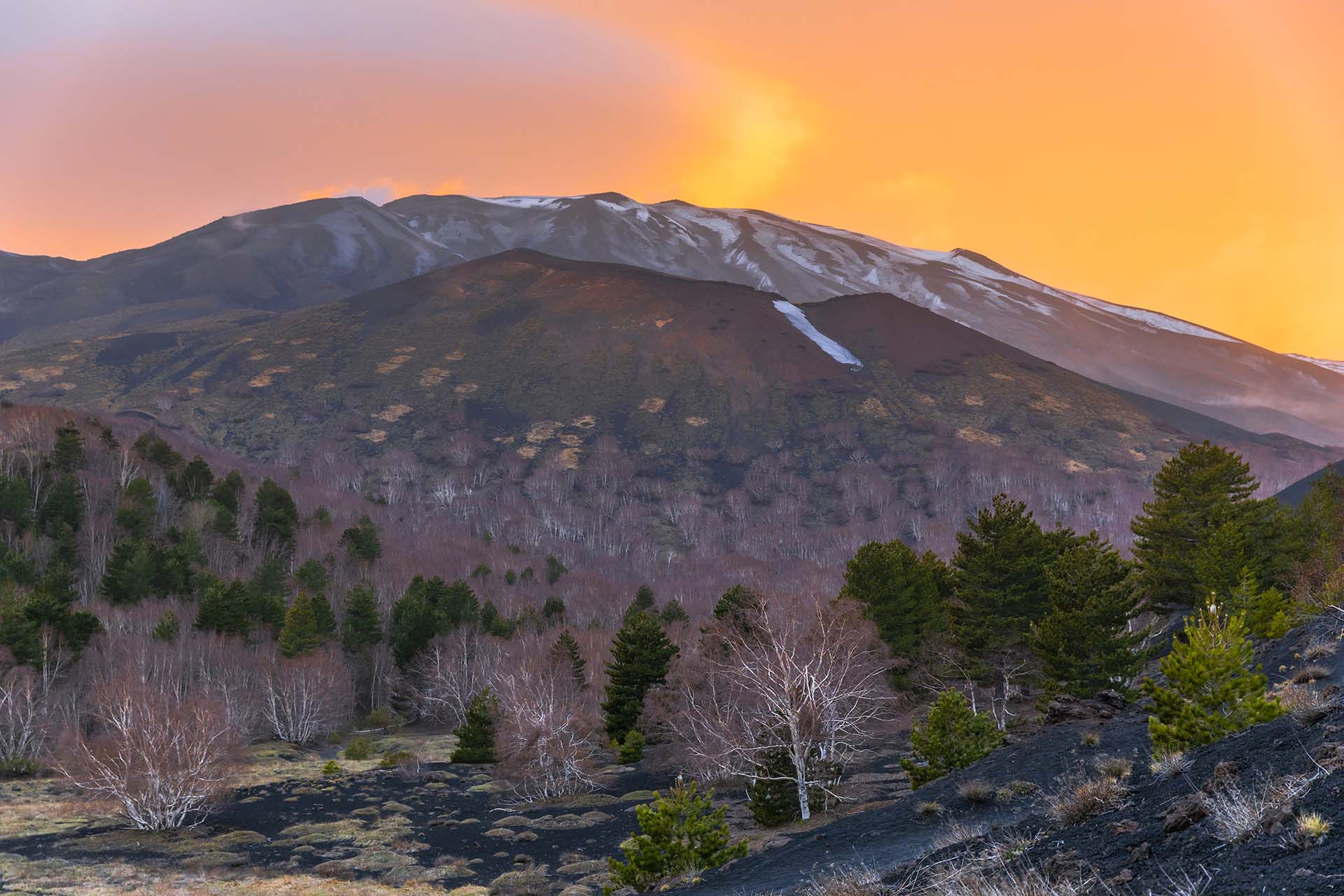 Etna, Monte Frumento delle Concazze e il bosco di Betulle