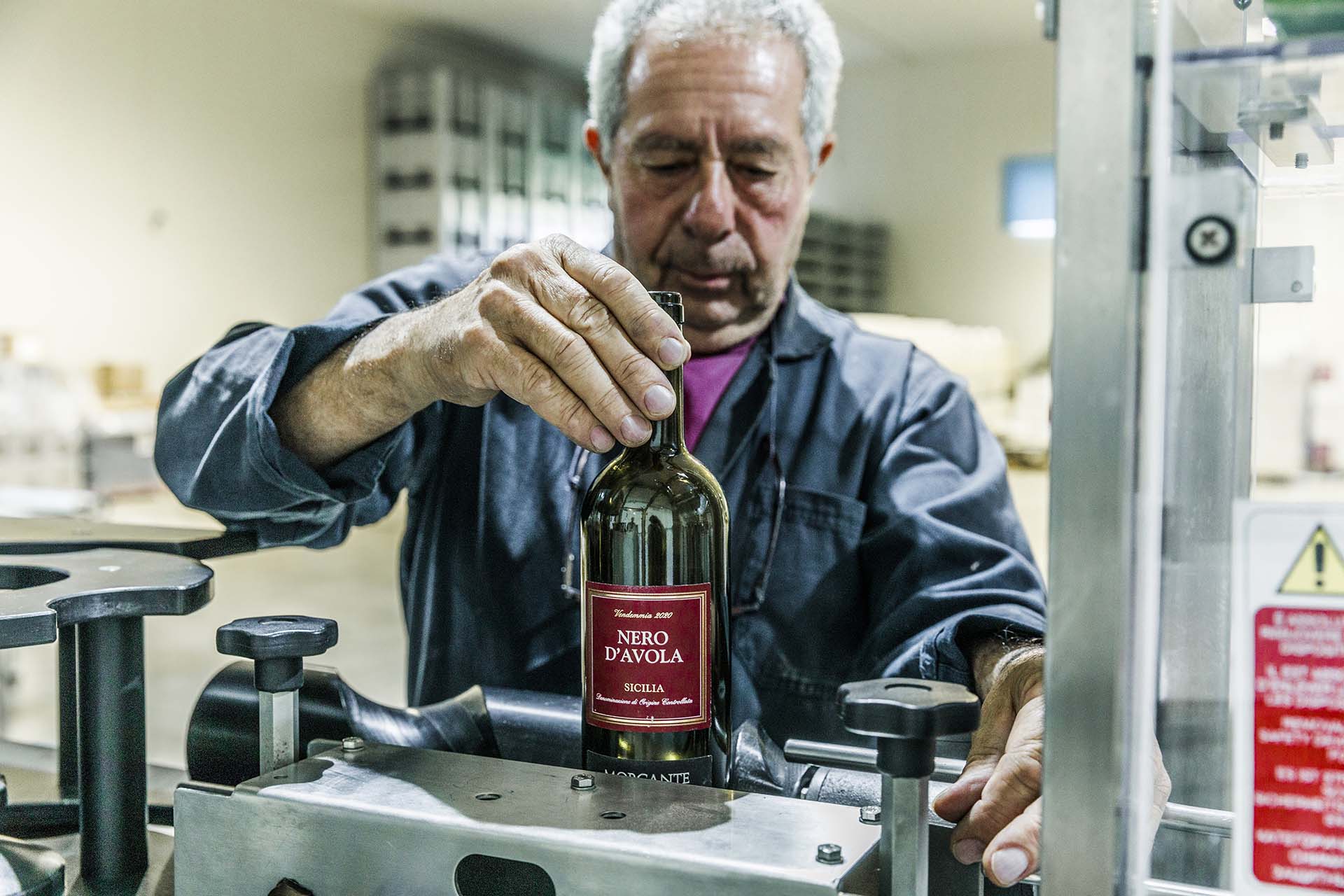 0A1A6578-Tenuta Vinicola Morgante a Racalmuto, il percorso del vino dalla vigna all'etichetta