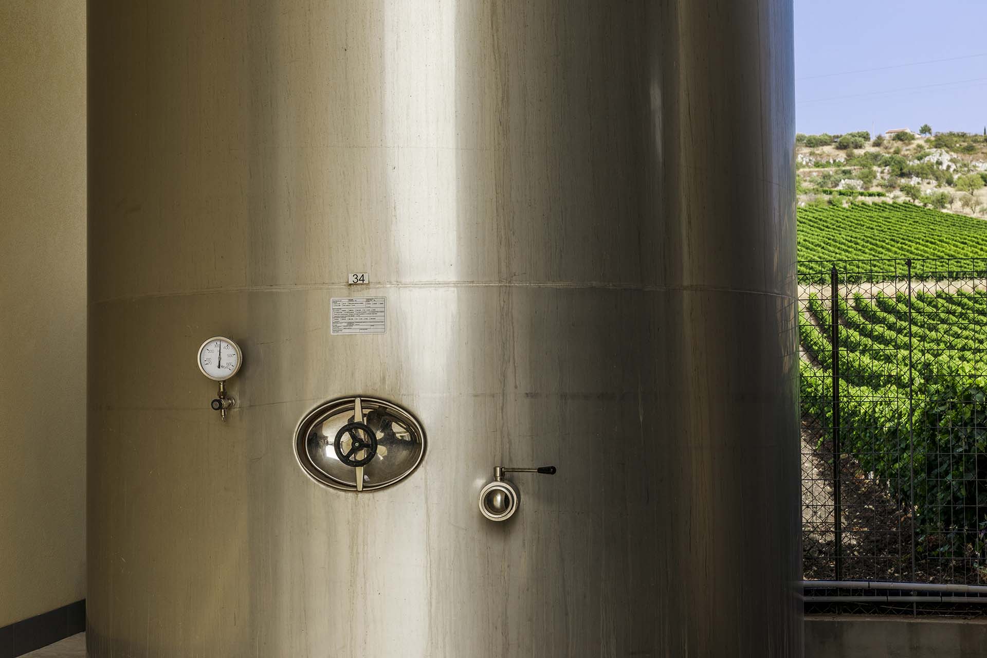 0A1A6595-Tenuta Vinicola Morgante a Racalmuto, il percorso del vino dalla vigna all'etichetta