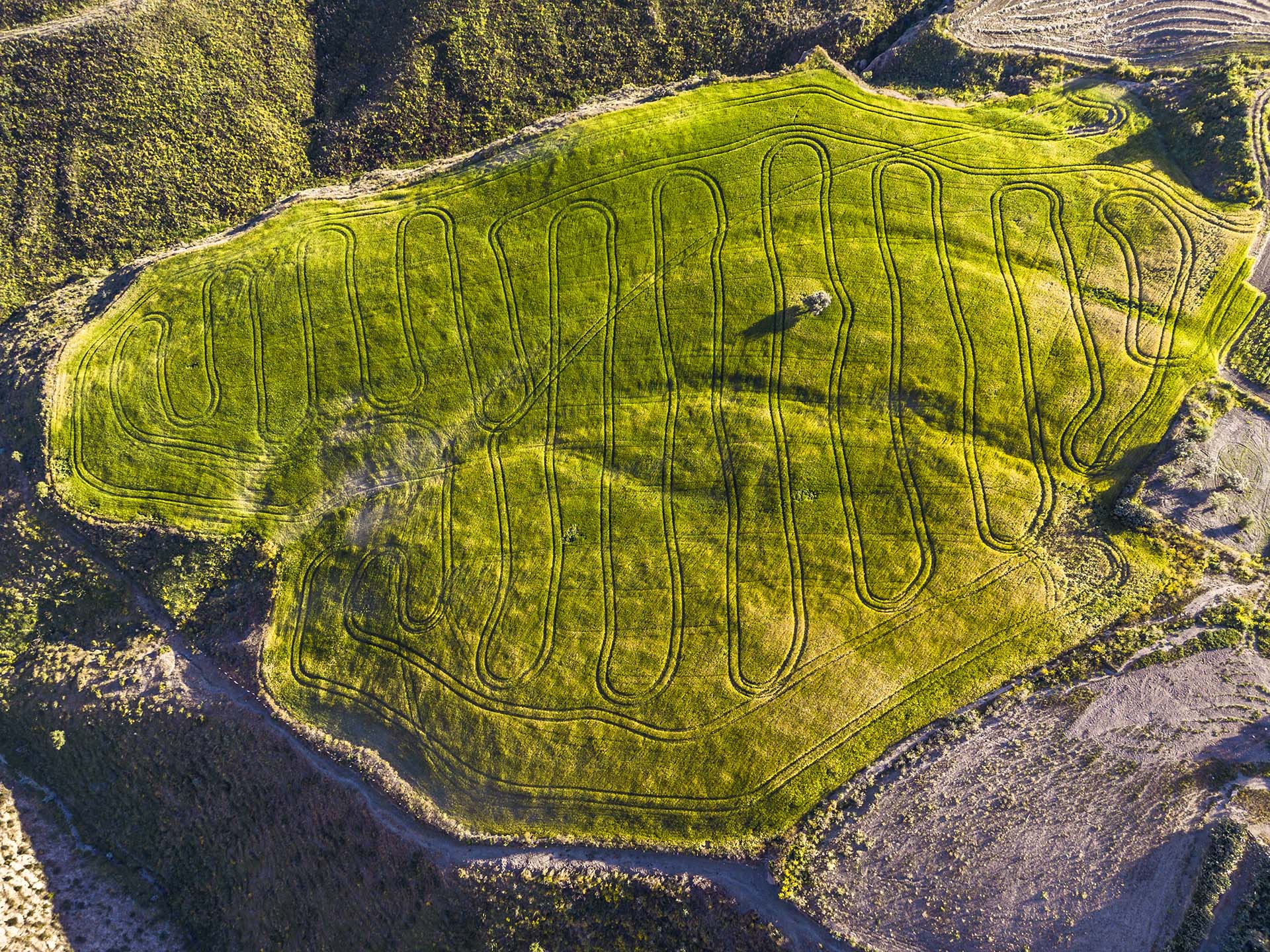 DJI_0995-Enna, disegni ormonici nei campi di grano a Recalbuto