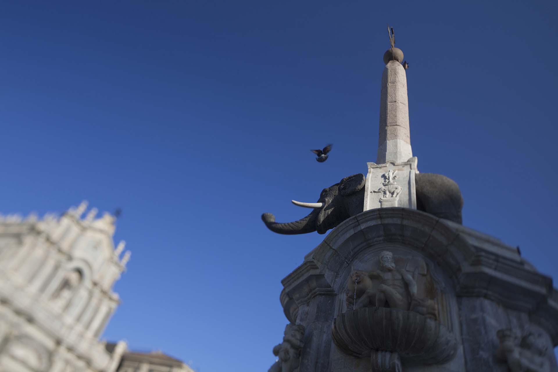 _MG_5765-Simbolo di Catania, l'Affascinante Fontana dell'Elefante (U Liotru)