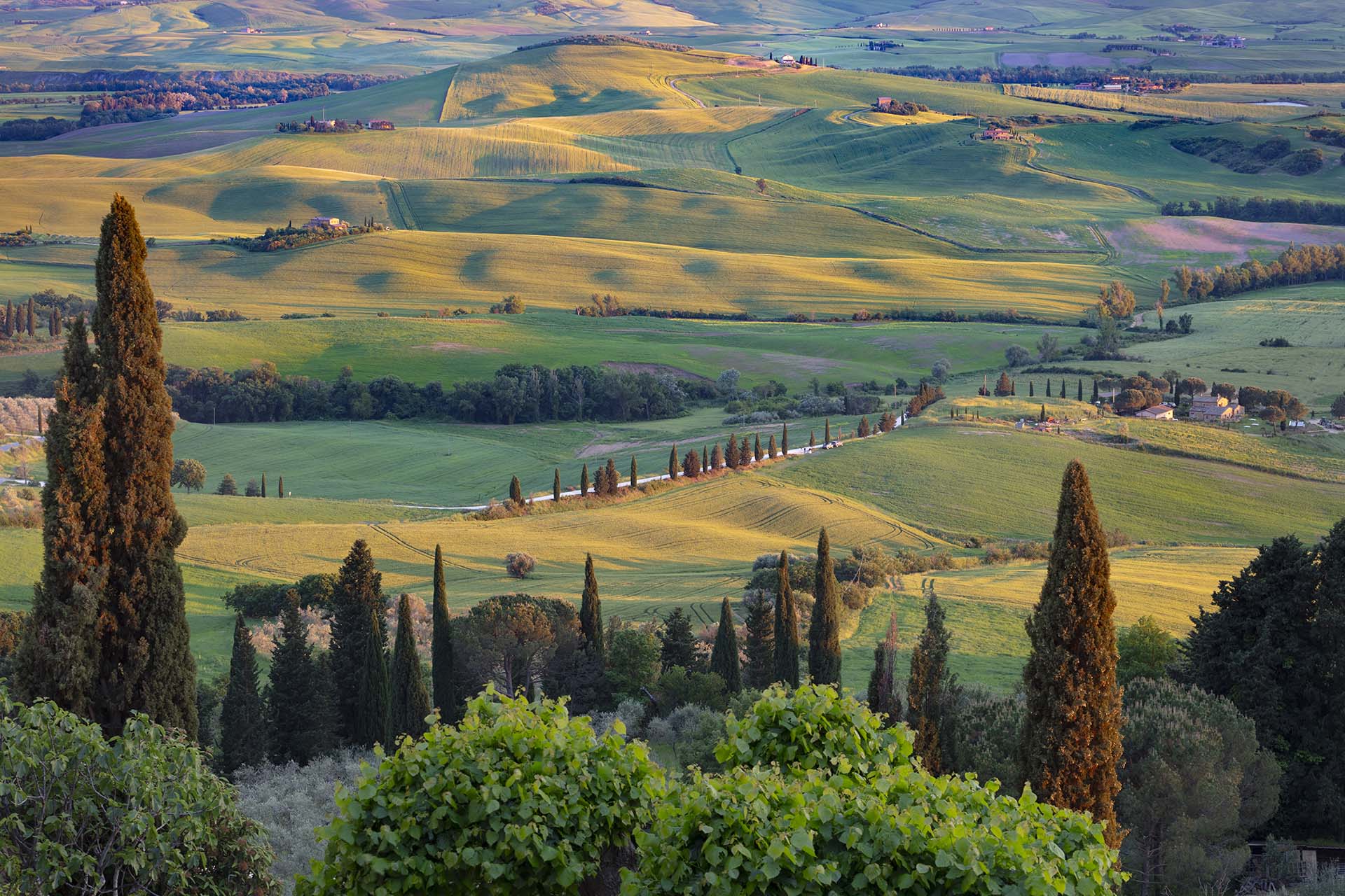 La vallata con le colline della Val d'Orcia in Toscana