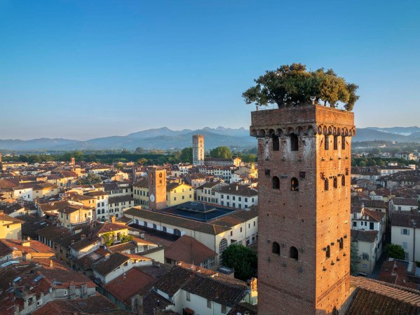 Torre Guinigi a Lucca famosa per il giardino pensile.