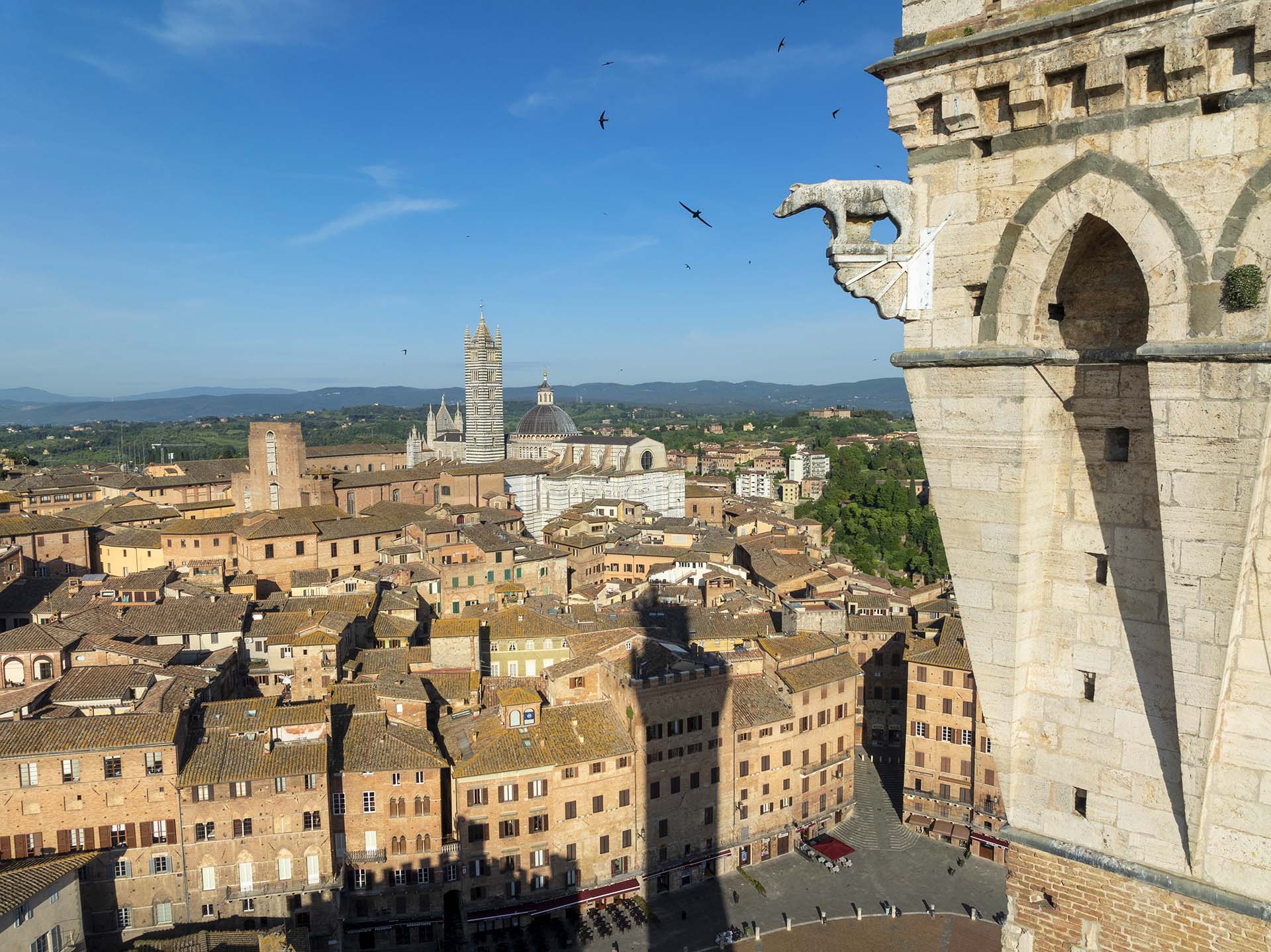 Il centro di Siena con il suo Duomo e un particolare della Torre del Mangia.