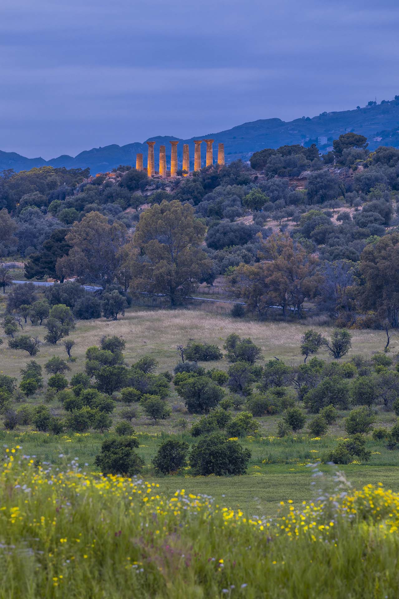 _INO5103-Tra le campagne Agrigentine, emerge la Valle dei Templi con il suo maestoso Tempio di Ercole