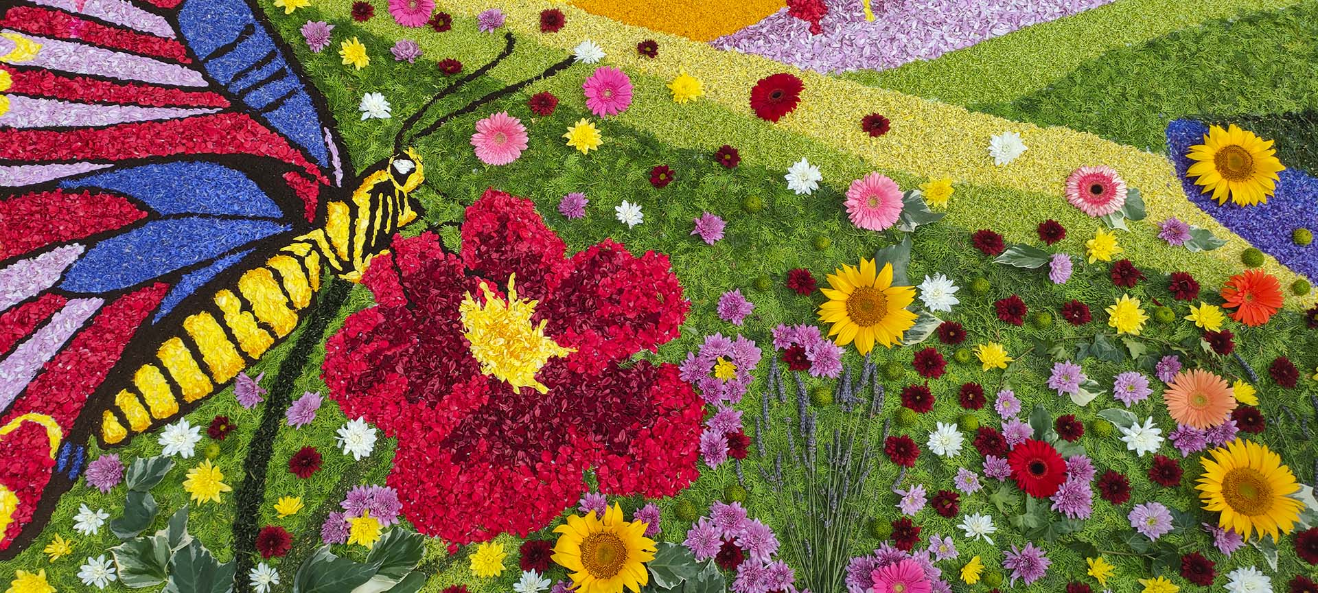 Decorazione floreale creata per l'Infiorata di Spello.