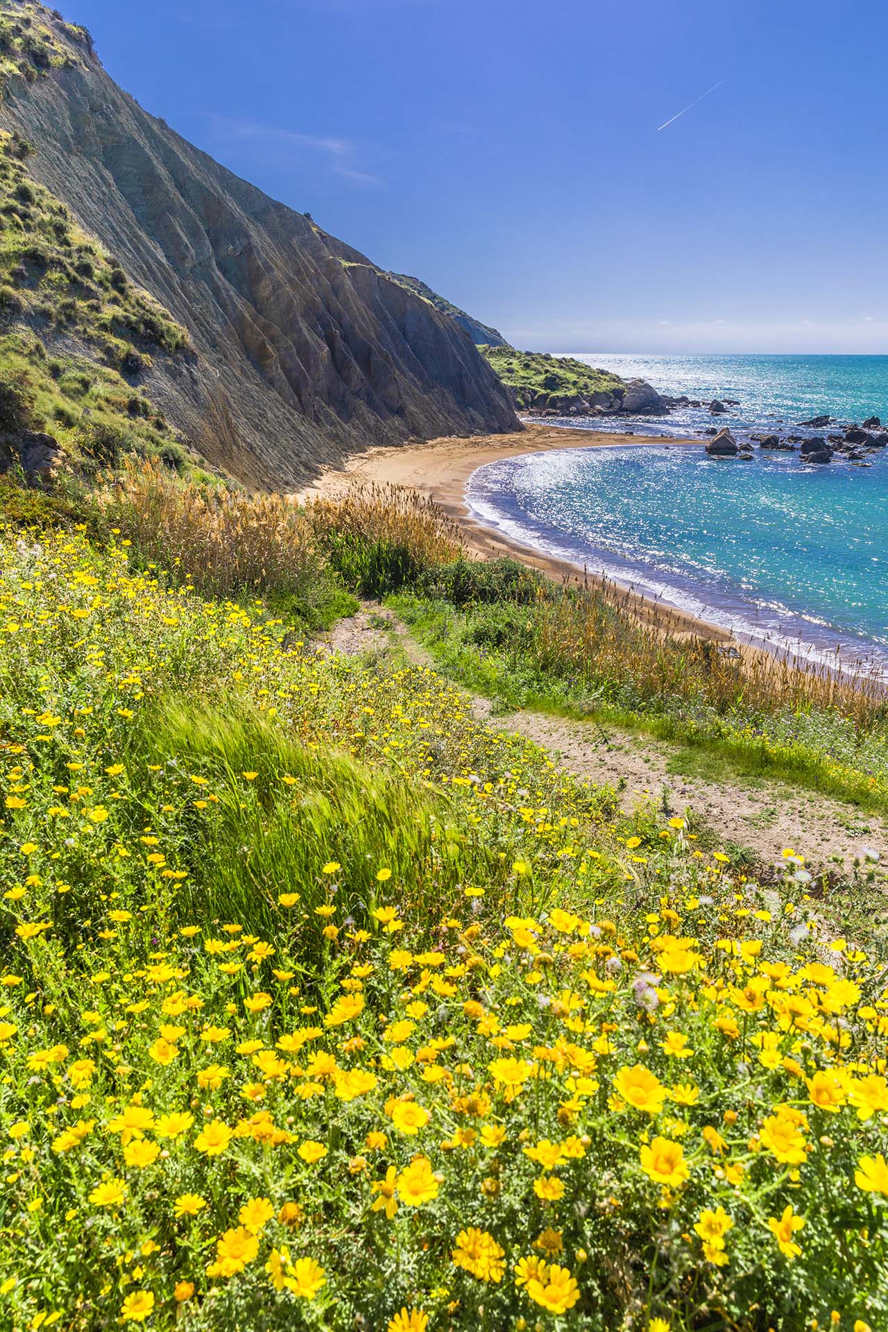 0A1A6239-I Fiori di Primavera a Cala Vicenzina, la spiaggia incantata di Agrigento