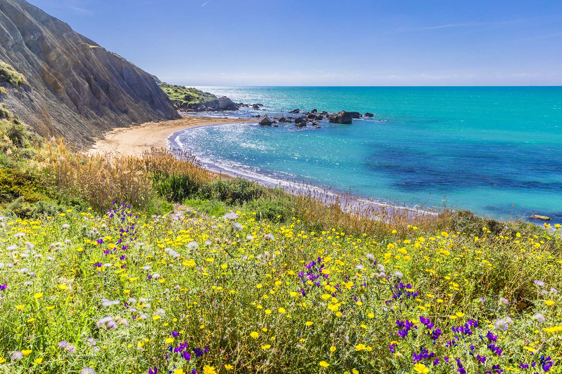 0A1A6242-I Fiori di Primavera a Cala Vicenzina, la spiaggia incantata di Agrigento