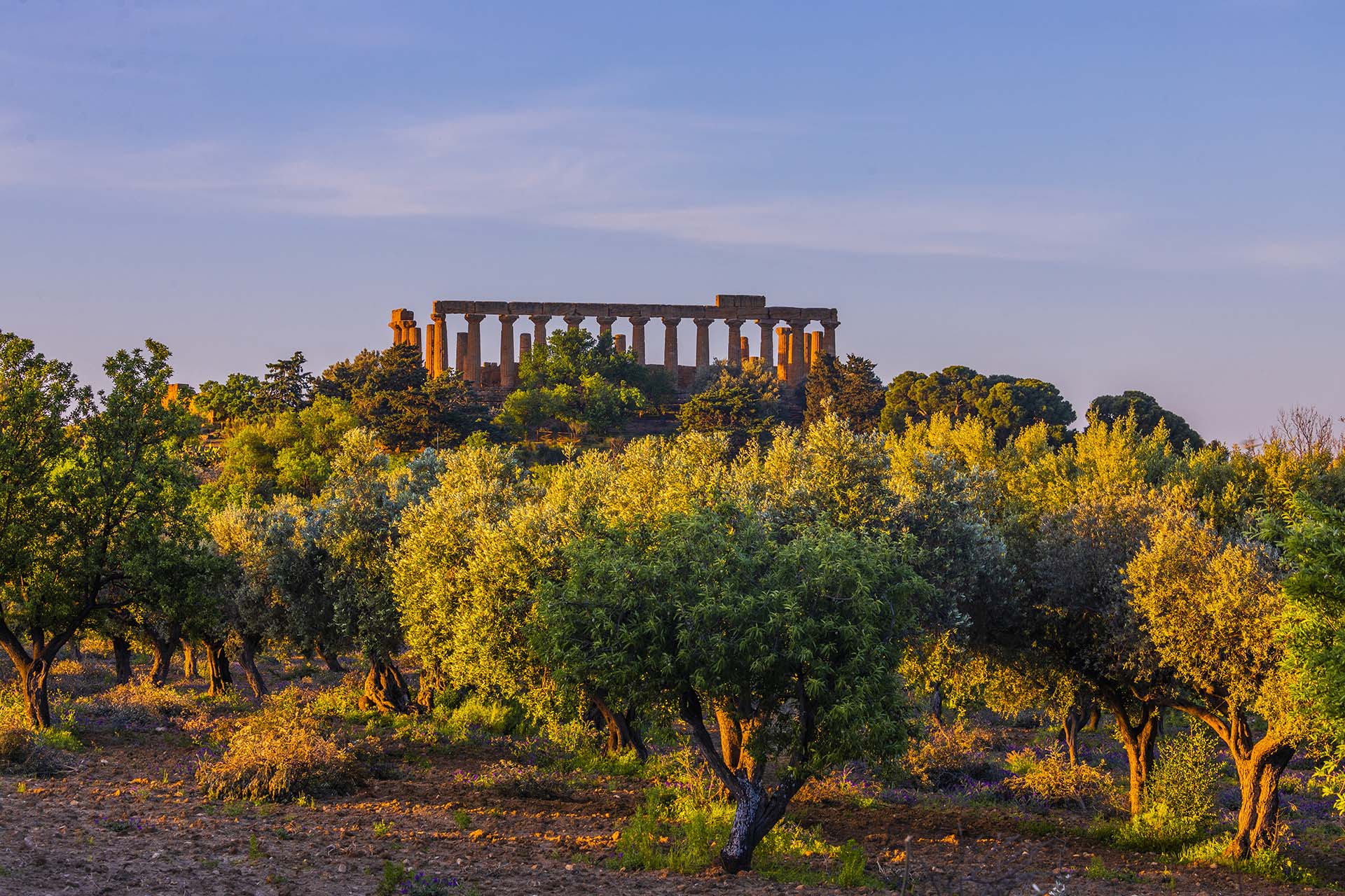 _INO4551-Le campagne di Agrigento, un viaggio incantato al Tempio di Giunone