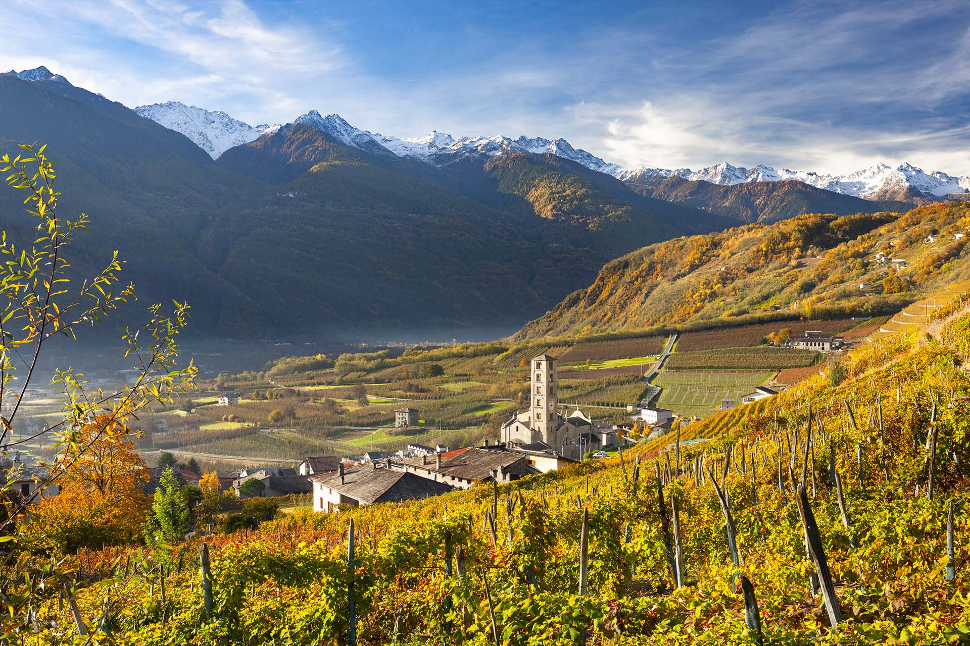 Bianzone con i suoi vigneti e la chiesa di San Siro.