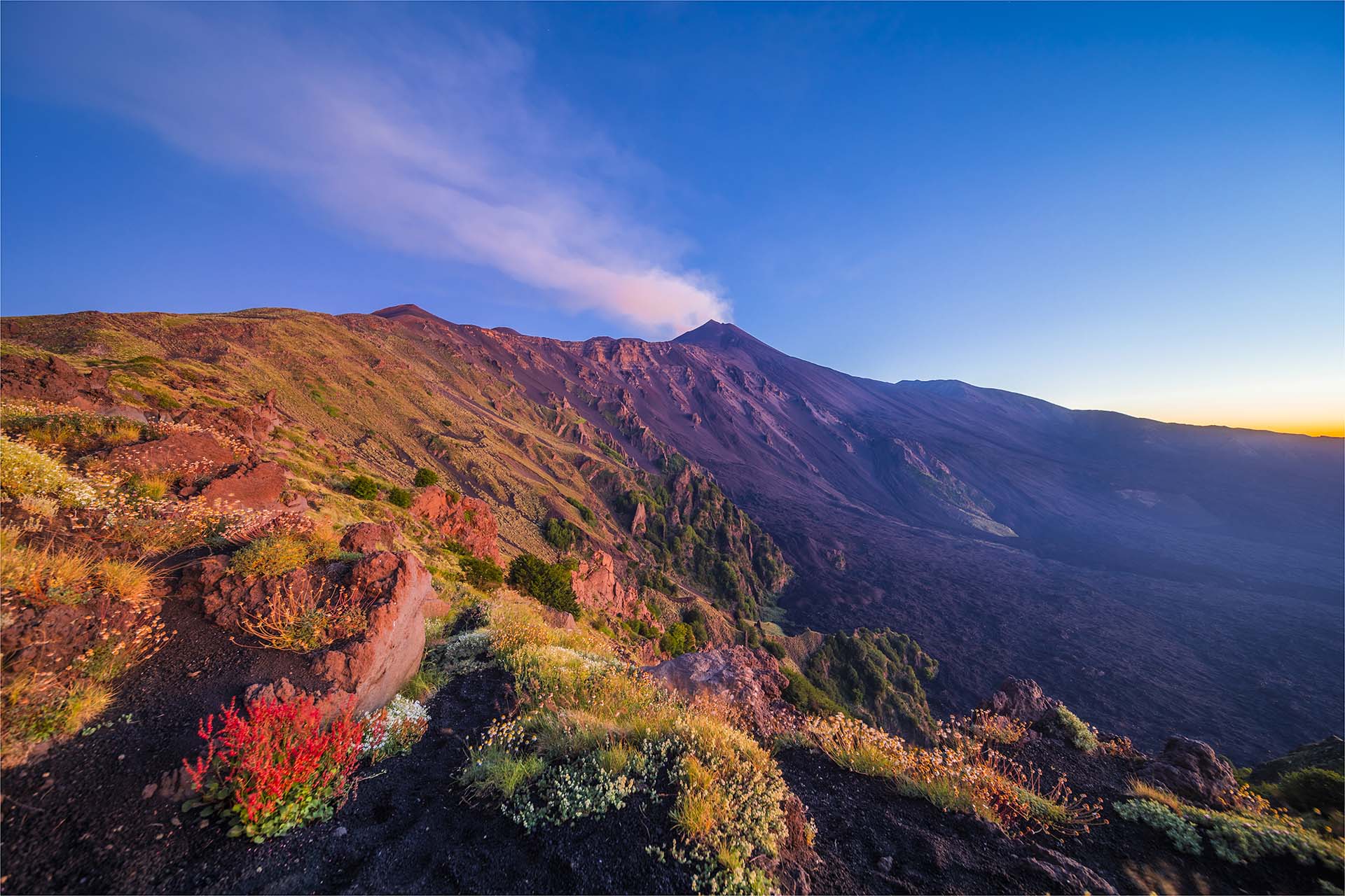 SAFF1220-HDR-2-Etna, la Schiena dell'Asino in fiore, con vista della Valle del Bove e i crateri sommitali