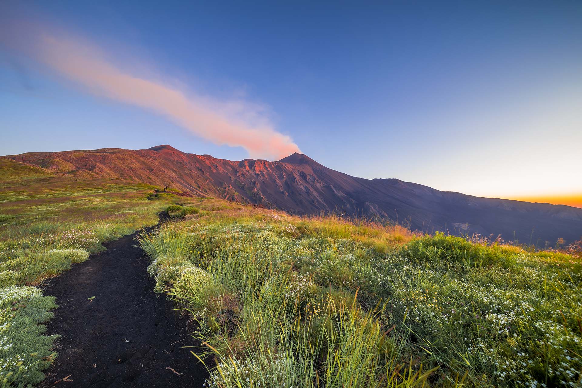 SAFF1284-2-Etna, il pianoro fiorito della Schiena dell’Asino con vista della Valle del Bove e i crateri sommitali