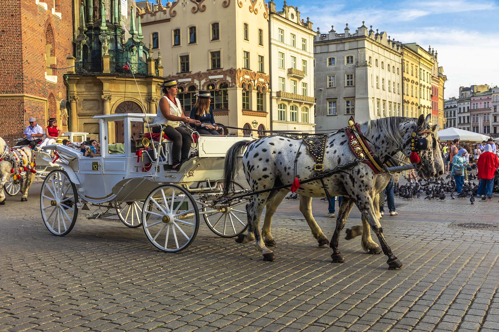 SAFF1529-Le carrozze di Piazza Rynek Główny, un'icona del folklore di Cracovia