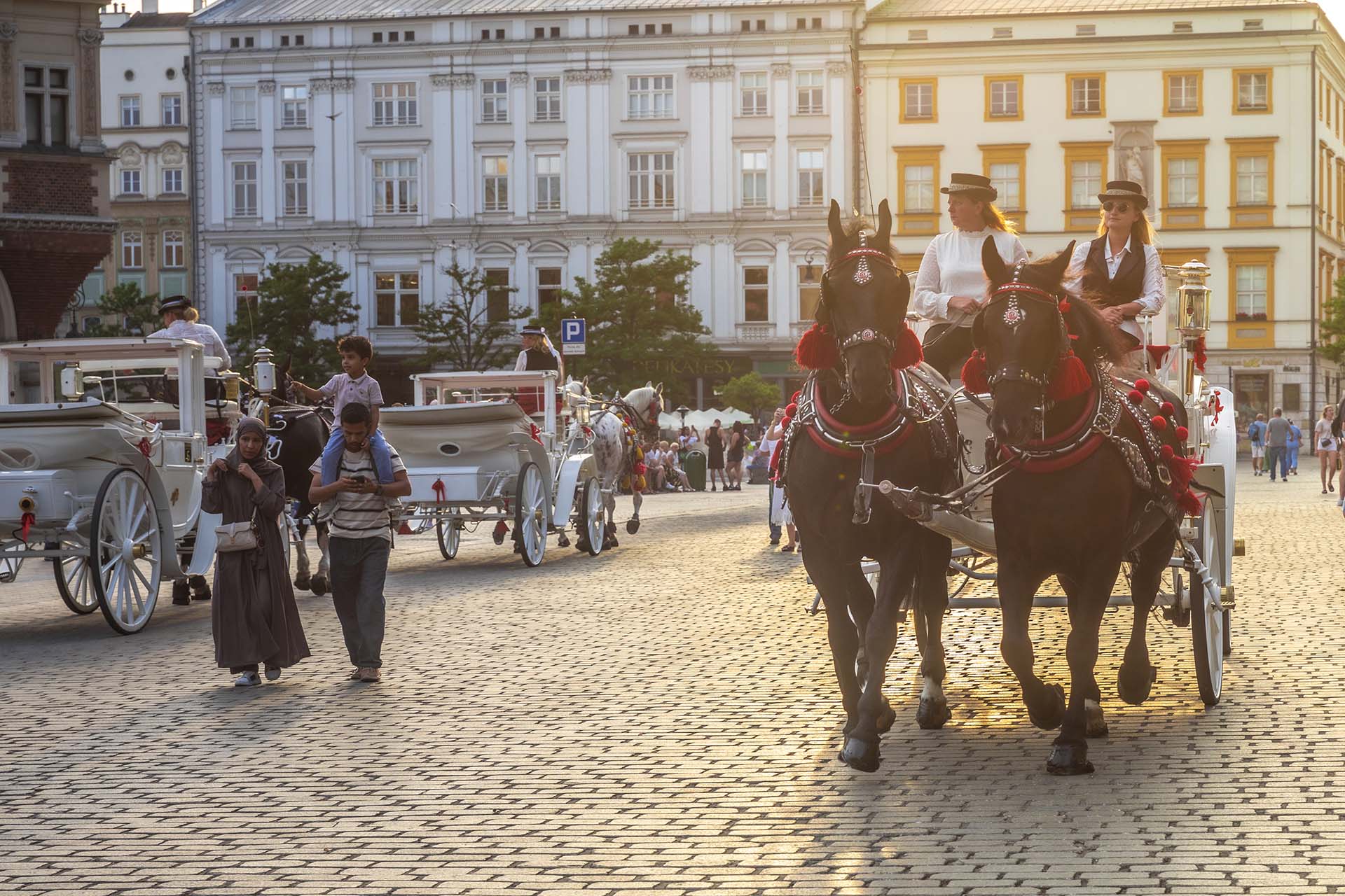 SAFF1534-2-Le carrozze di Piazza Rynek Główny, un'icona del folklore di Cracovia