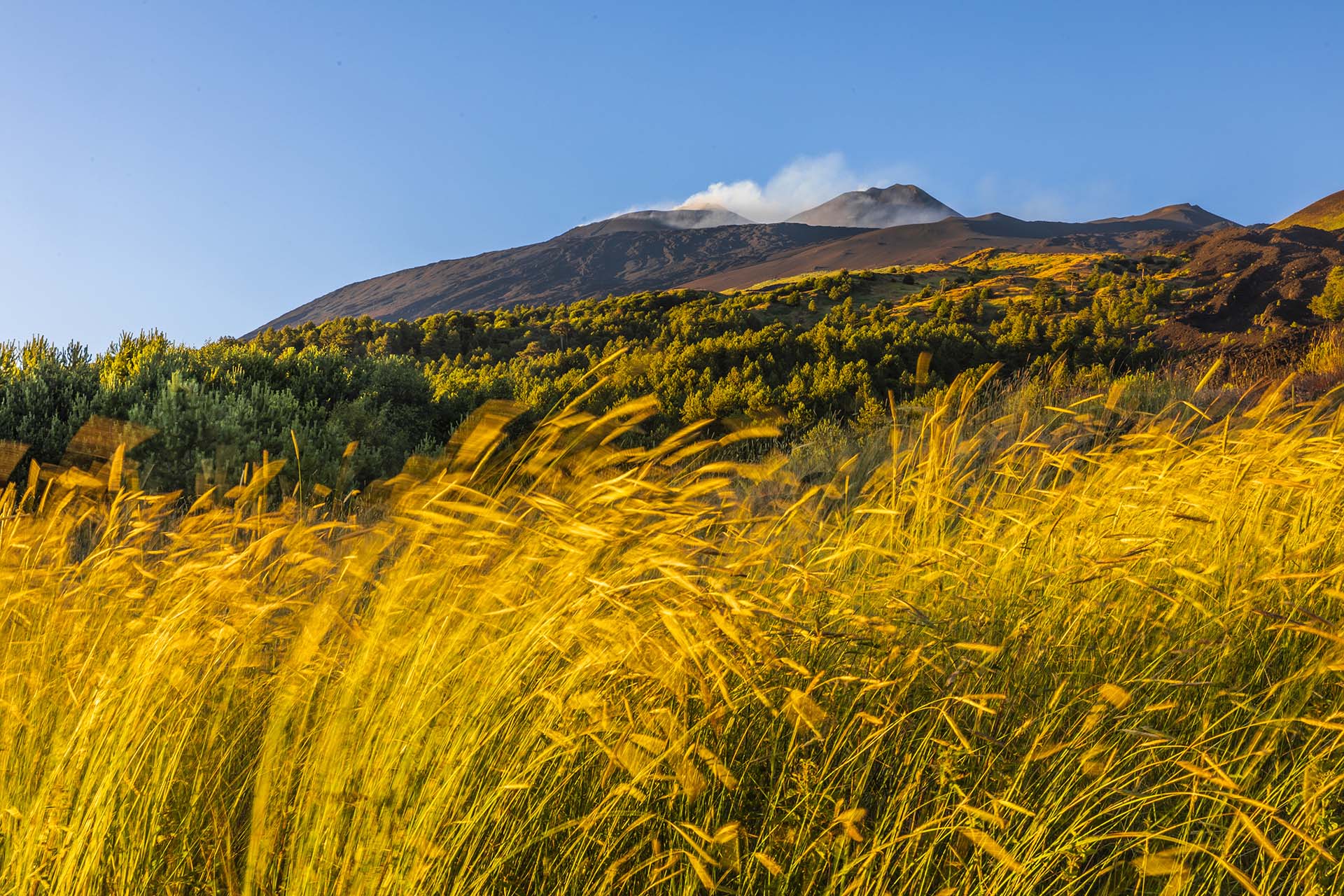 SAFF1784-Sui Sentieri dell'Etna, il Rifugio Carpinteri e l'Incontro con i Crateri