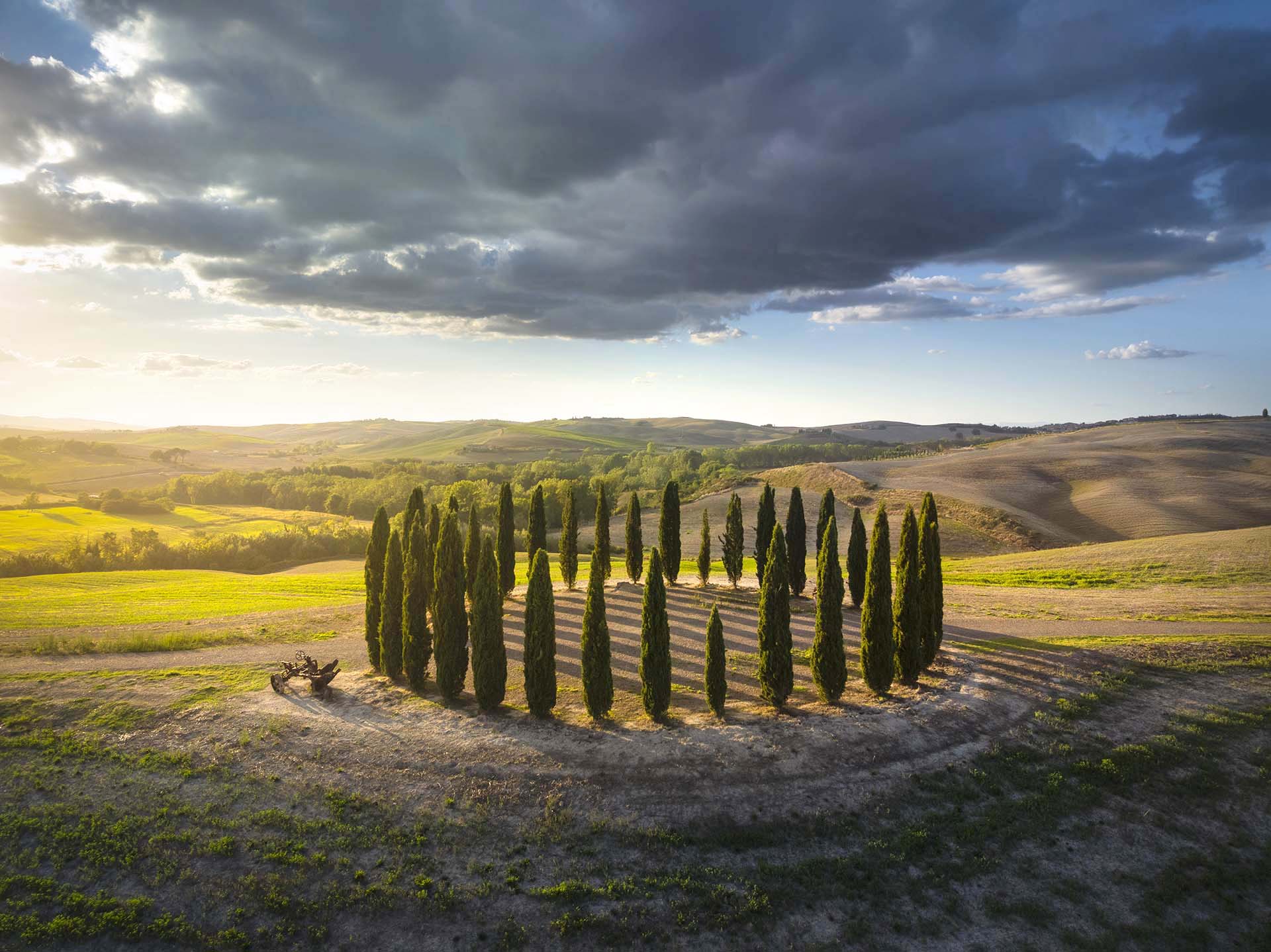Cipressi in circolo nella Val d'Orcia patrimonio dell'Umanità Unesco