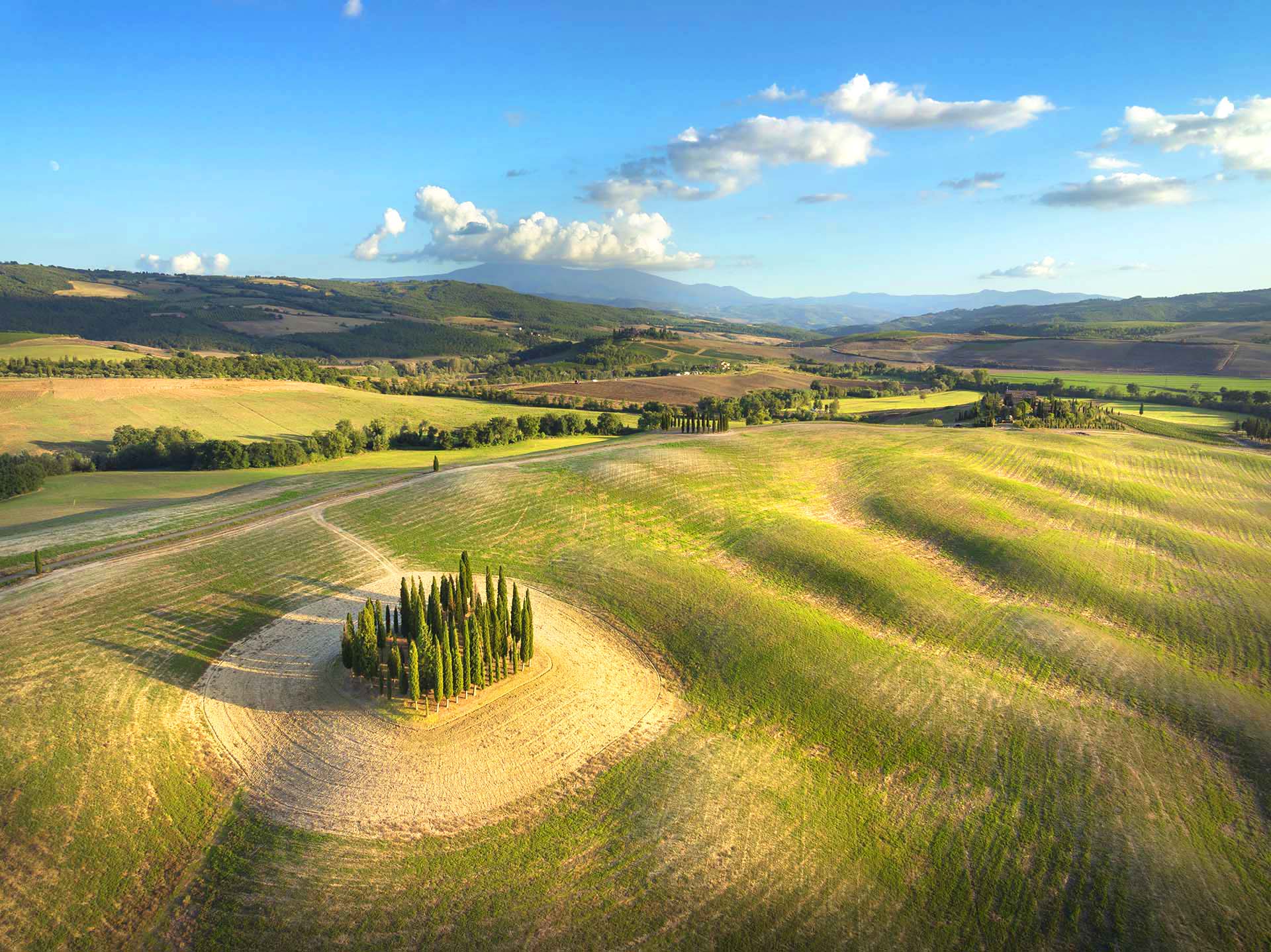 Paesaggio della Val 'Orcia con cipressi e Monte Amiata.