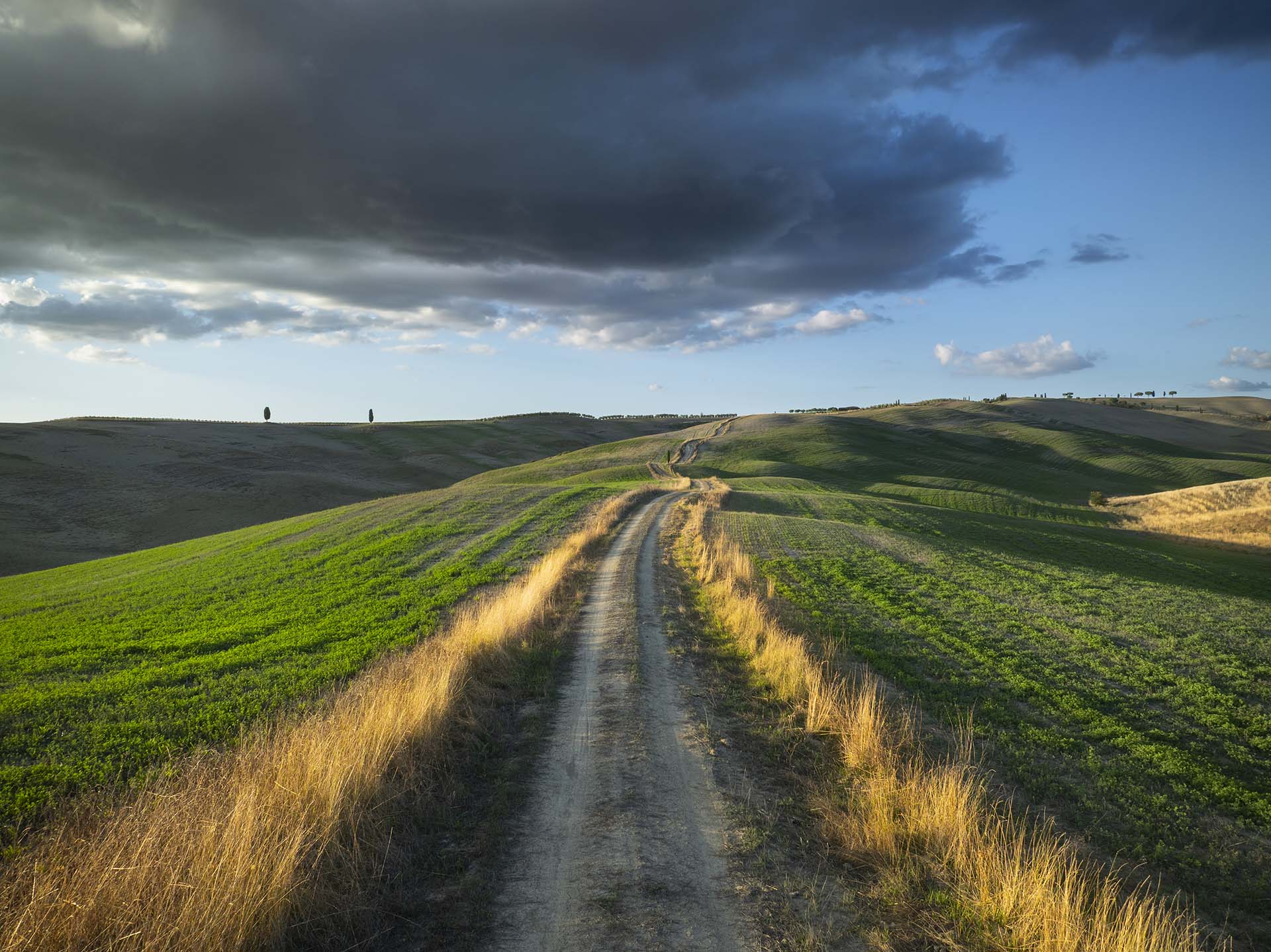 strade sterrate che attraversano le colline della Val d'Orcia Patrimonio Unesco