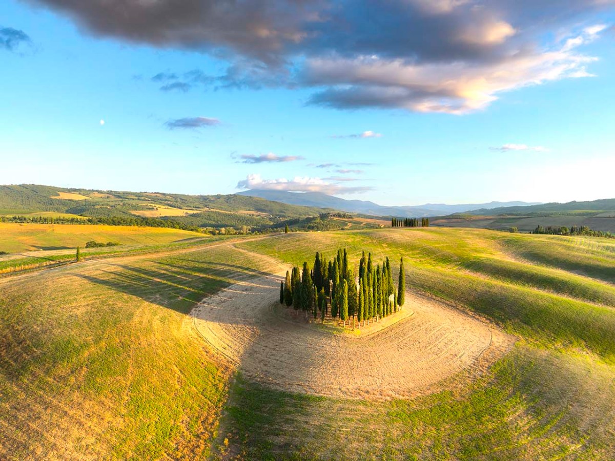 Cipressi iconici della Val d'Orcia in Toscana.