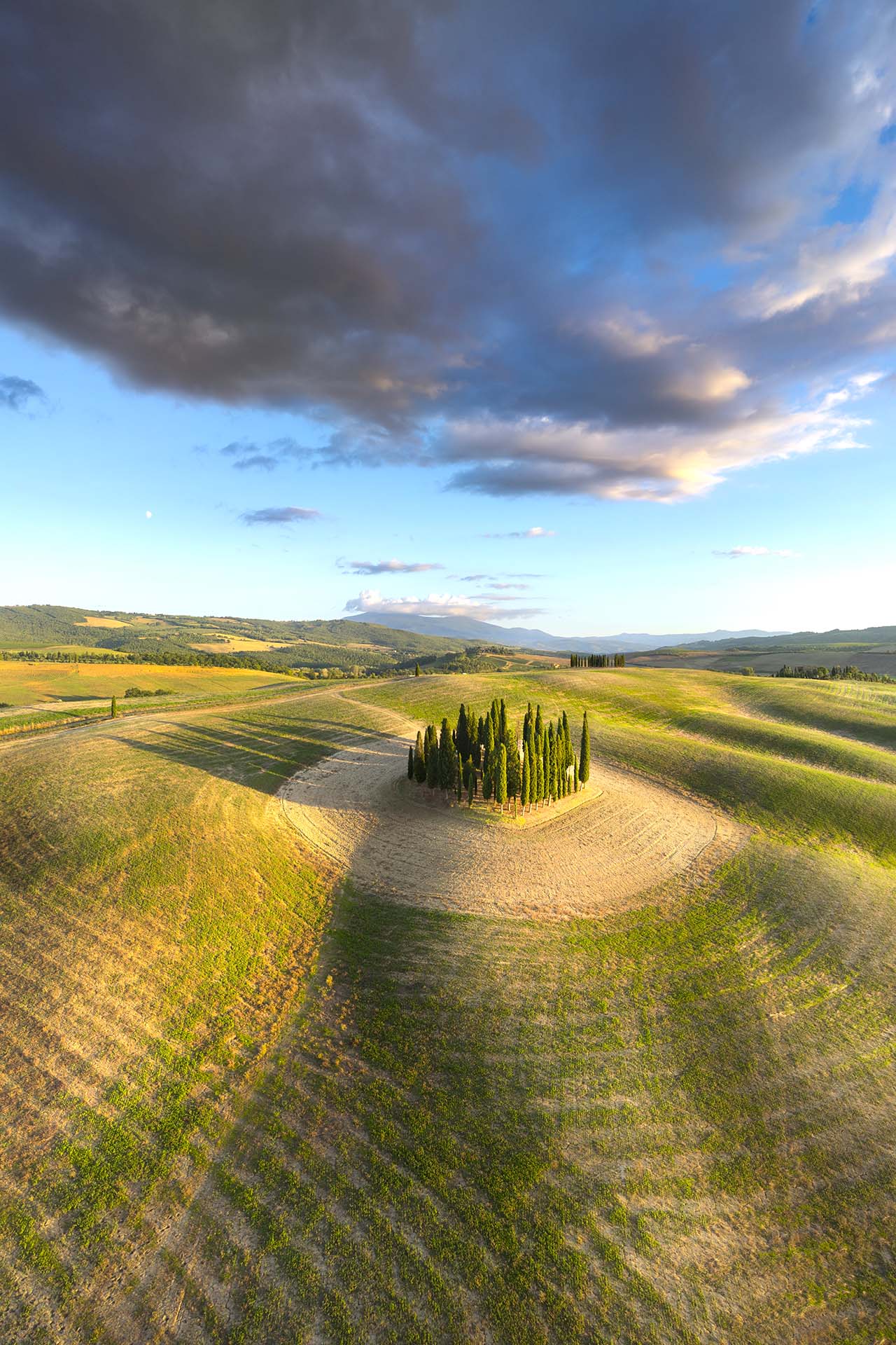 Cipressi iconici della Val d'Orcia in Toscana.