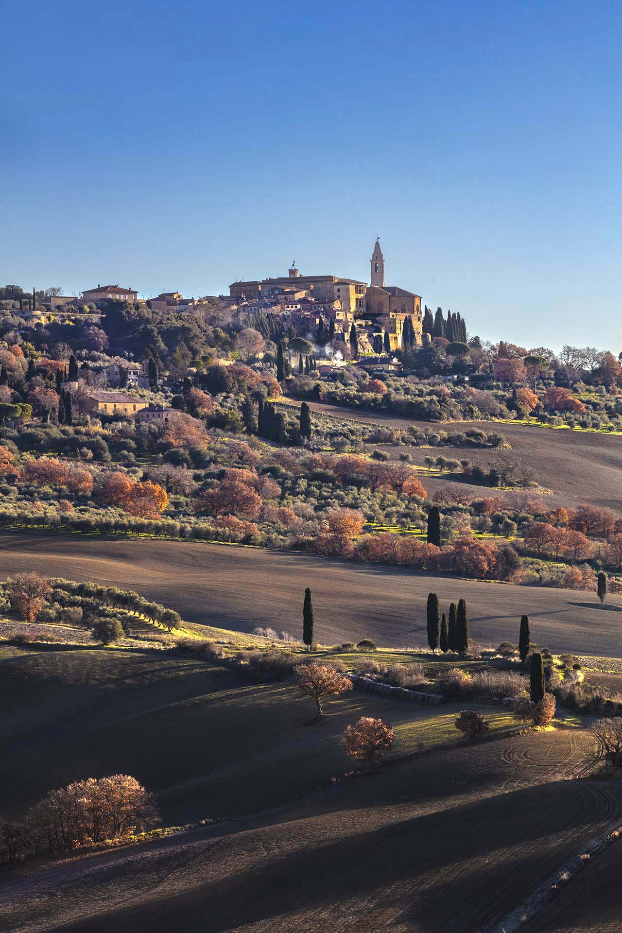 Il paesaggio della Val d'Orcia con Pienza sullo sfondo.