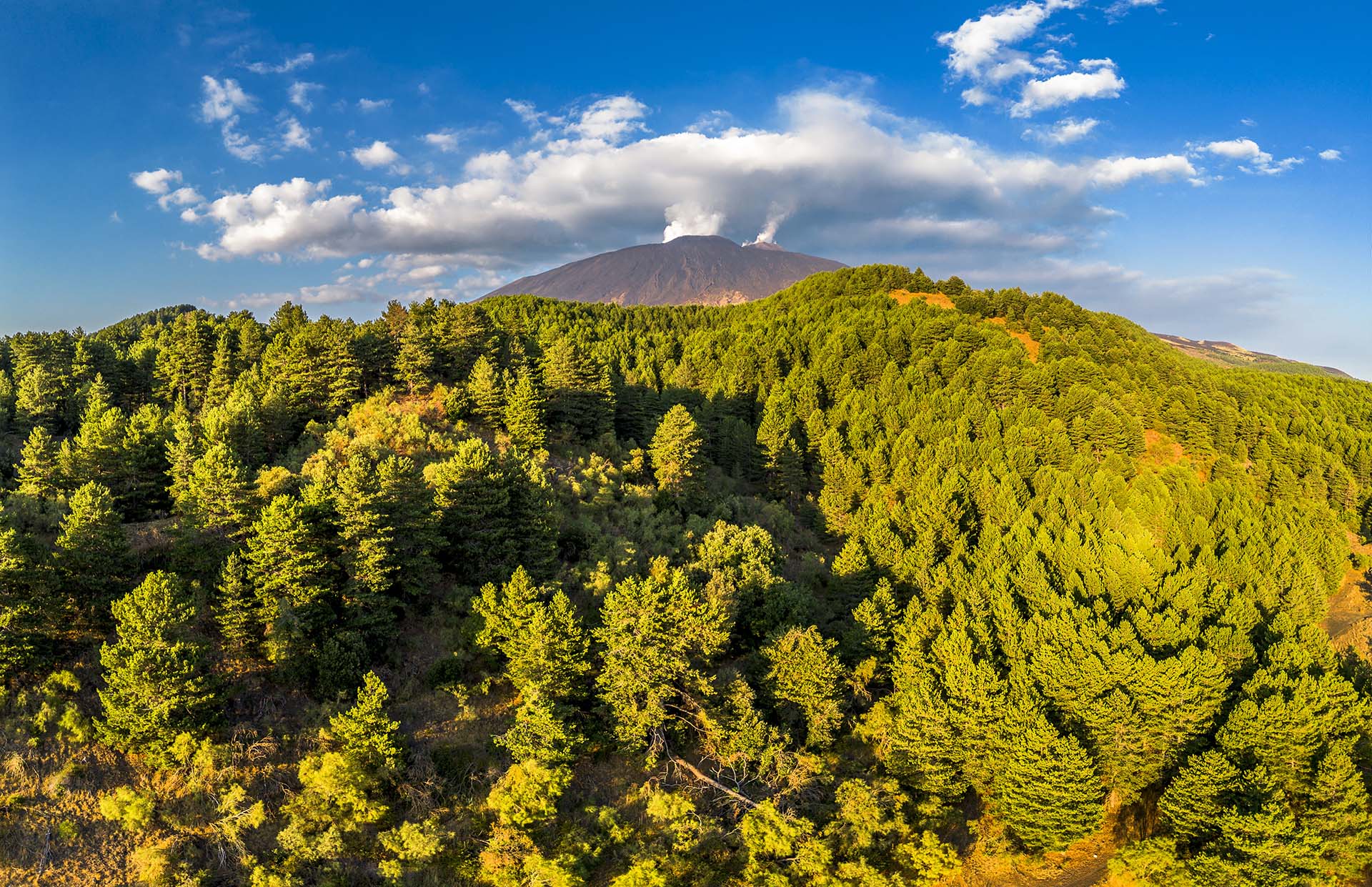 DJI_0011-Pano-I crateri attivi dell'Etna dalla pineta di Monte Testa