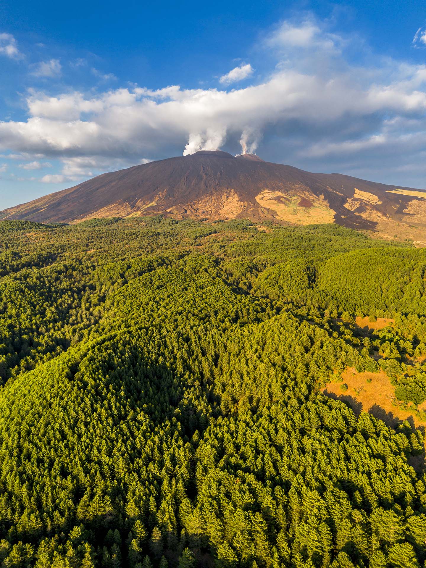 DJI_0027-Monte Testa, l'oasi verde sotto le cime fumanti dell'Etna