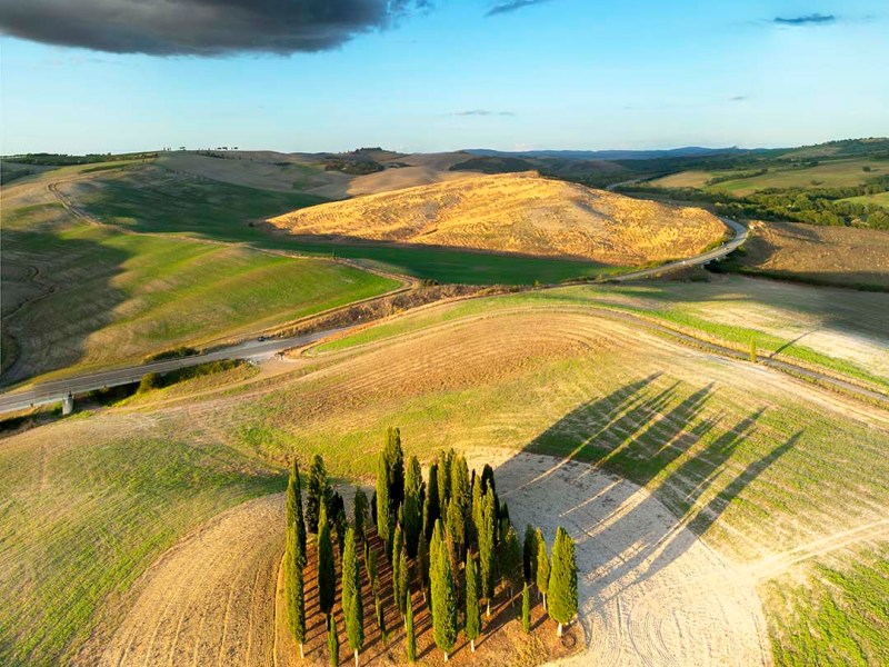 Cipressi iconici della Val d'Orcia in Toscana.