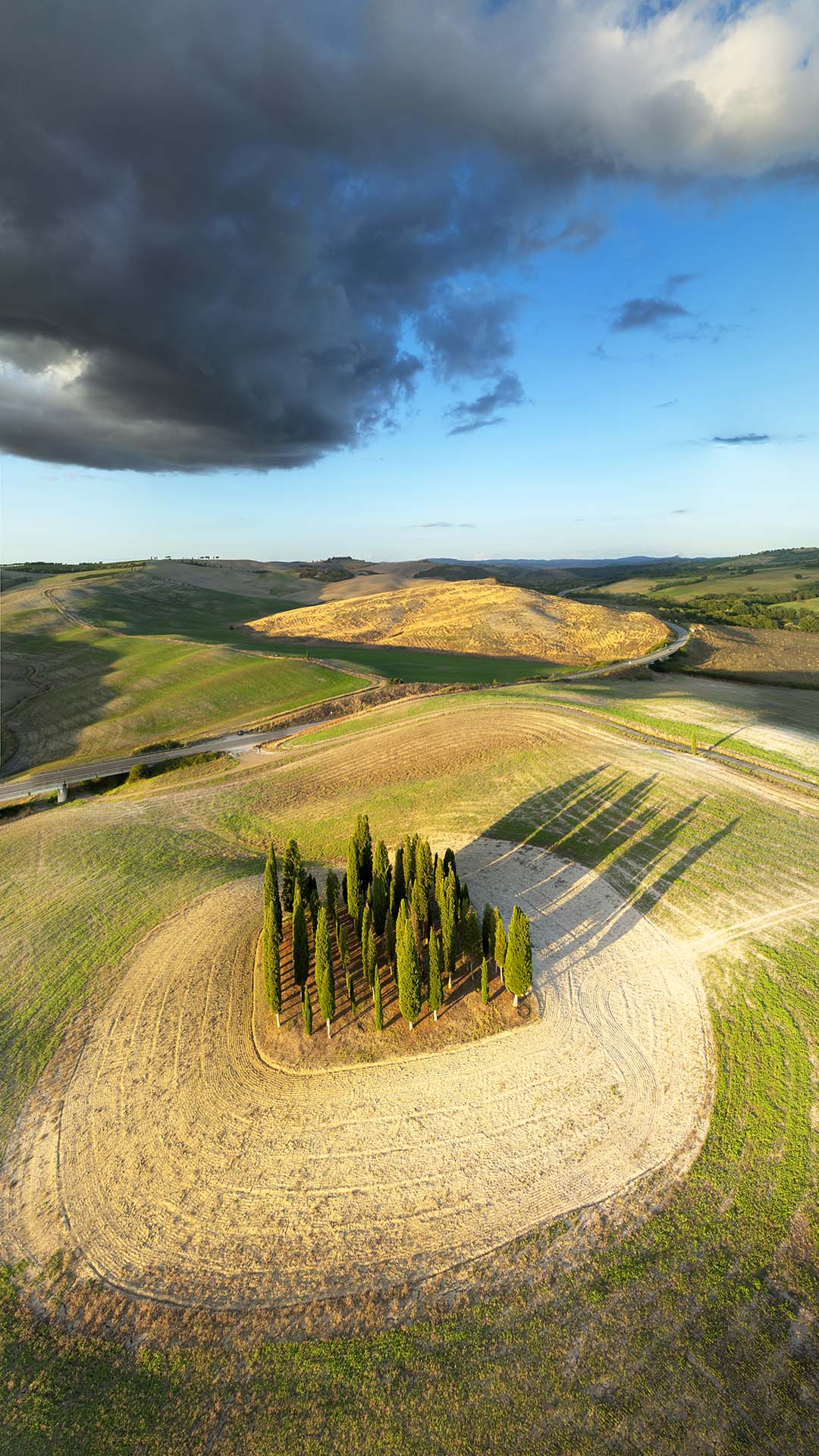 Cipressi iconici della Val d'Orcia in Toscana.