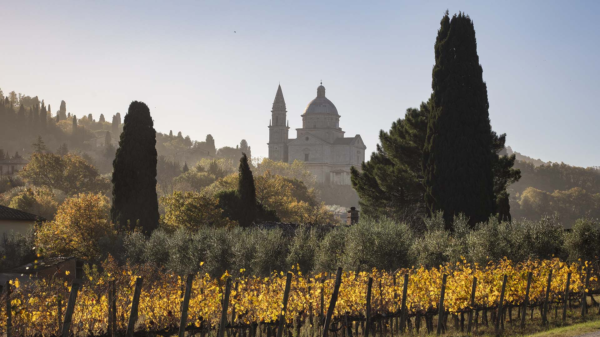 Vigneti e Tempio di San Biagio a Montepulciano.