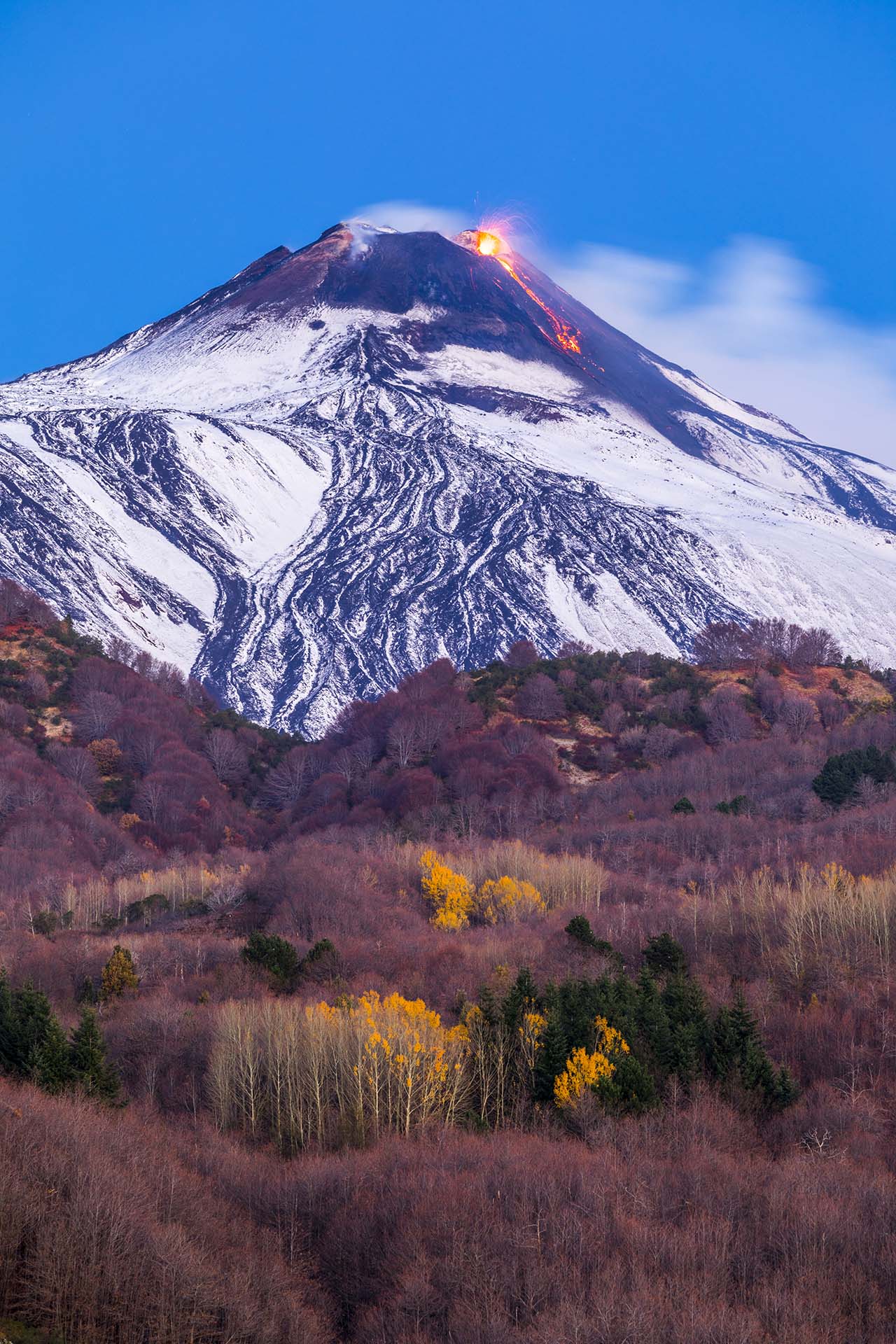0A1A6958-Etna, il Cratere di Sud-Est tra fuoco e neve sopra il bosco spoglio dell’Acqua Rocca