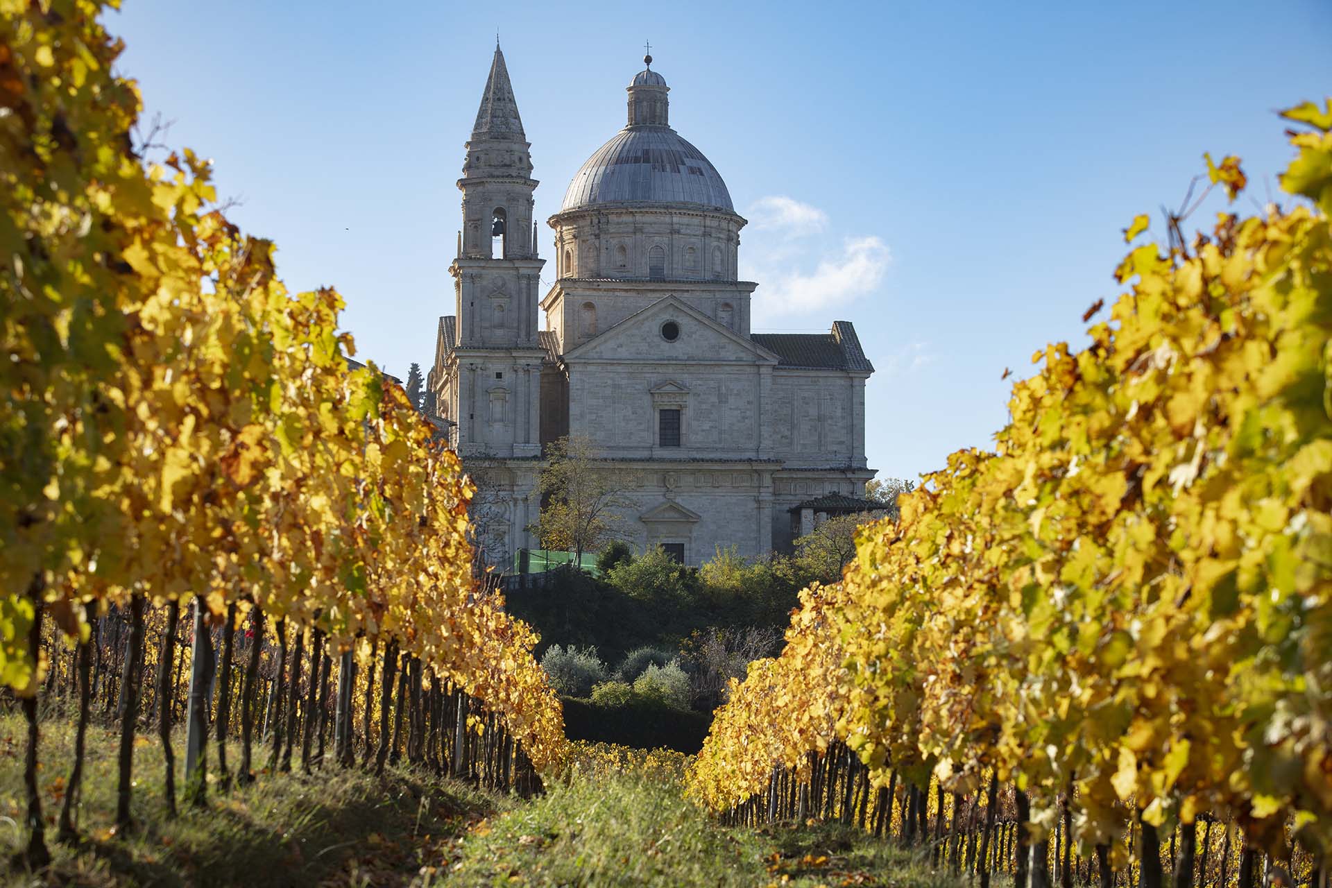 Vigneti e Tempio di San Biagio a Montepulciano.