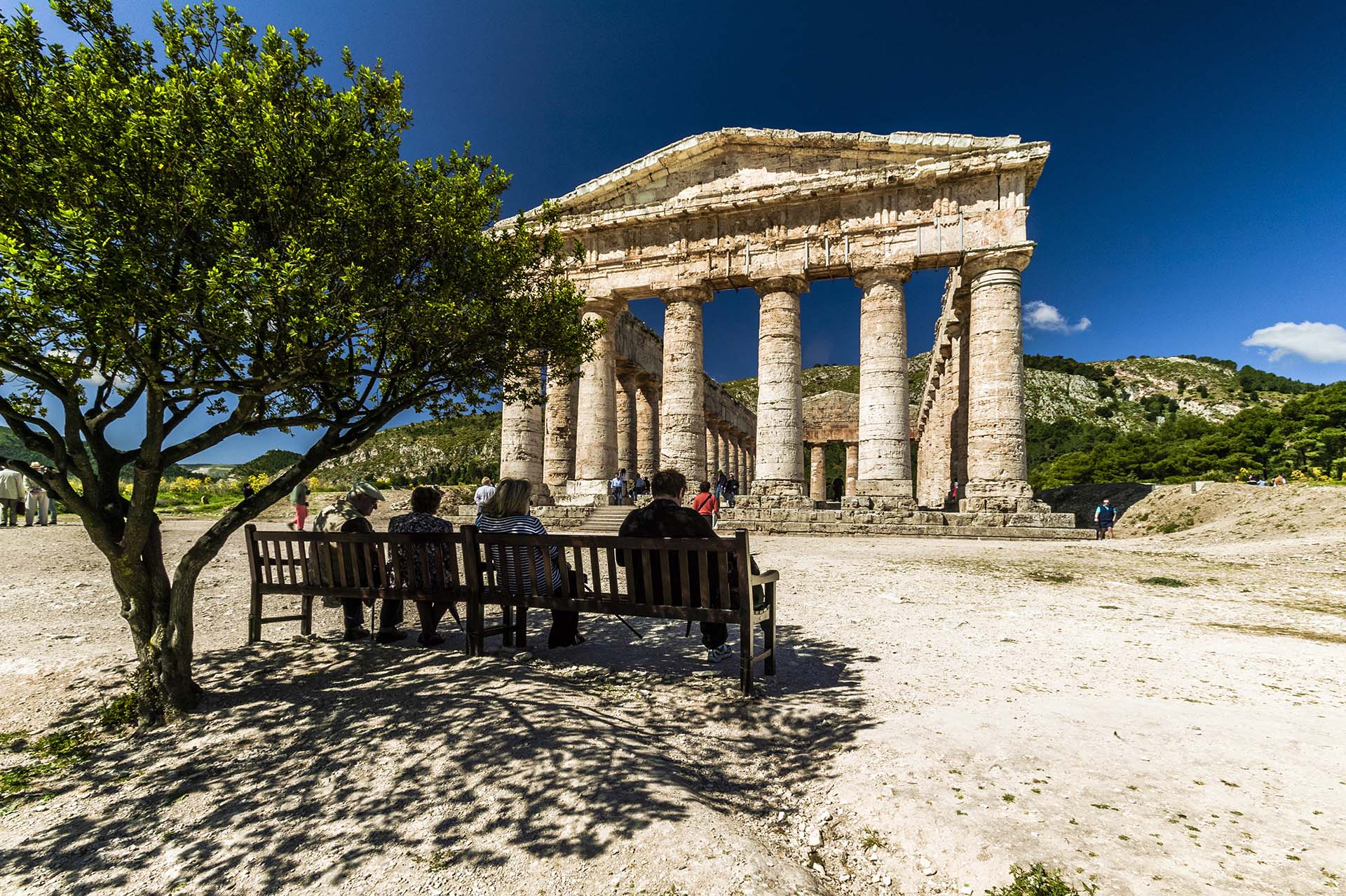 DE7U4842-Pausa all'ombra della storia, visitatori e l'eterno Tempio Dorico di Segesta