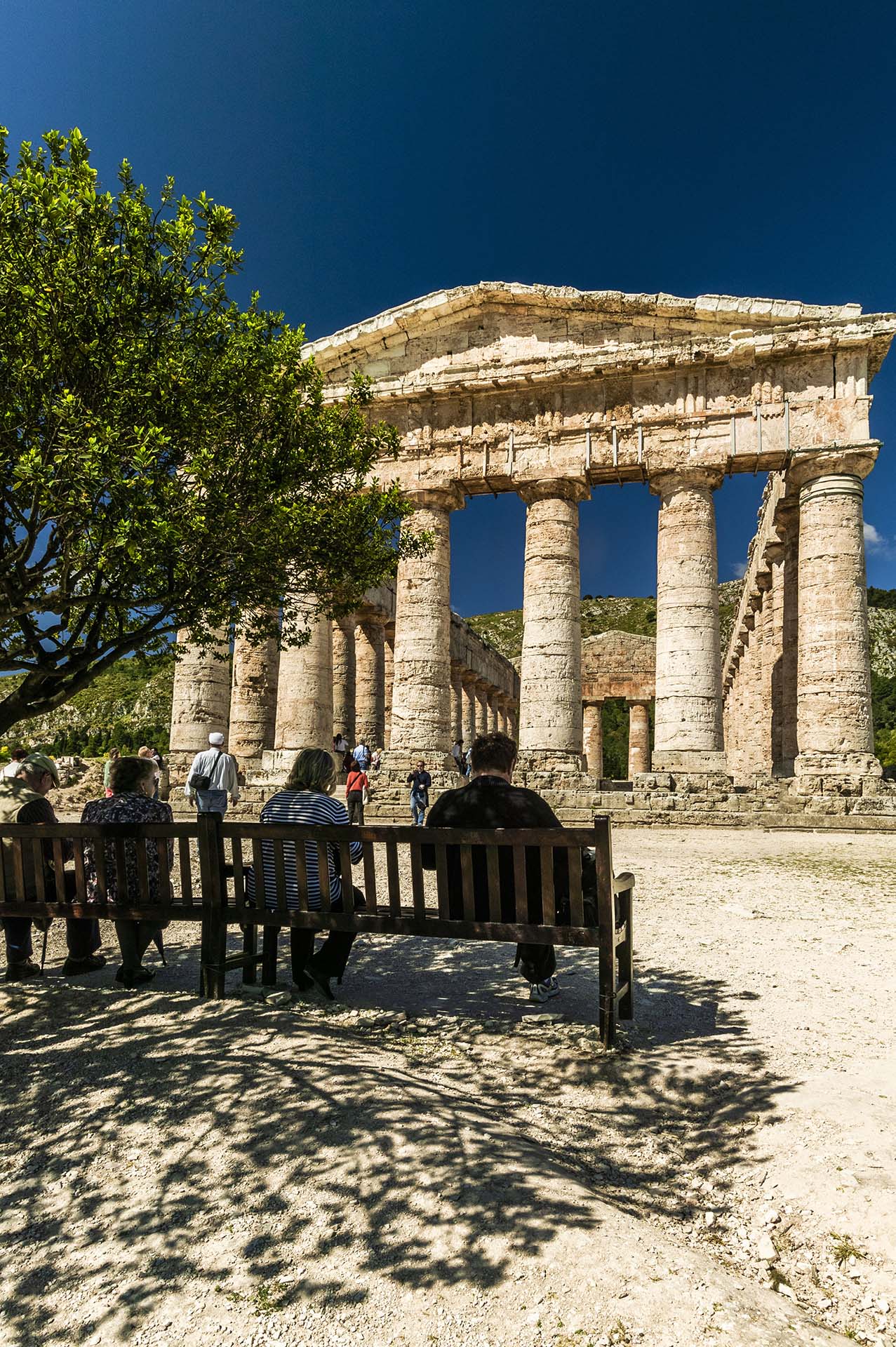 DE7U4843-Pausa all'ombra della storia, visitatori e l'eterno Tempio Dorico di Segesta