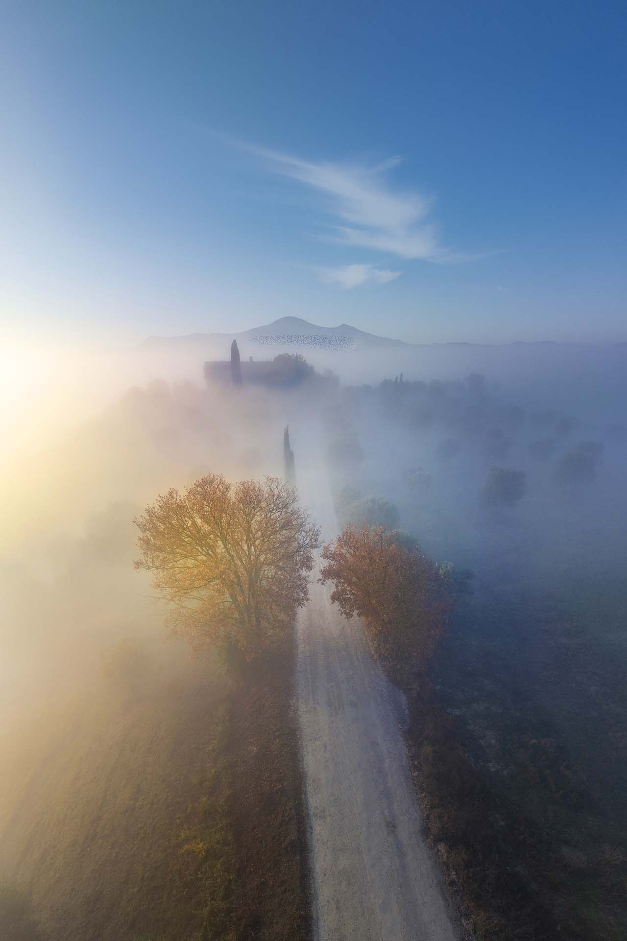 Strada nella nebbia tra le colline della Val d'Orcia con il Monte Amiata.