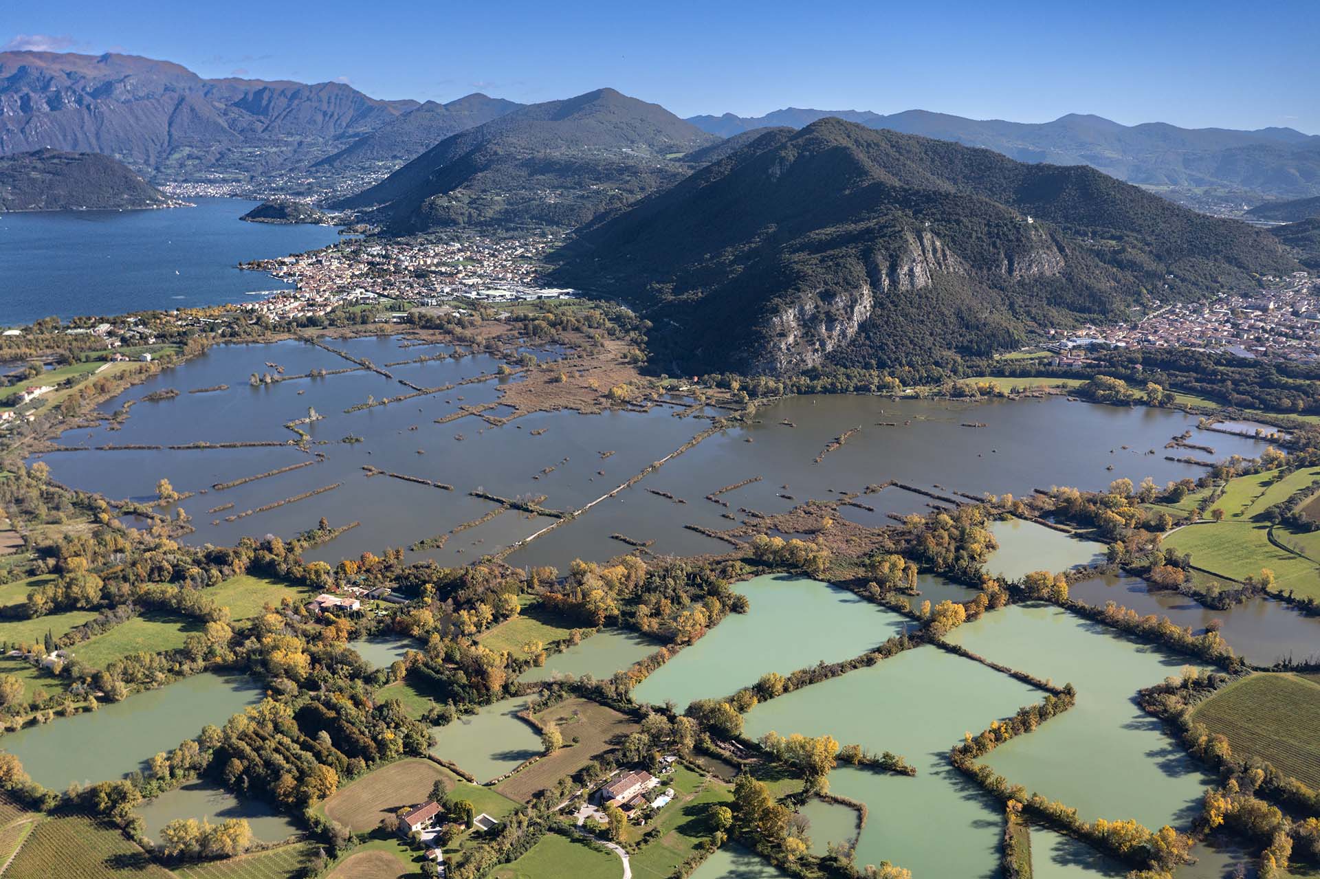 Riserva naturale Torbiere del Sebino e sullo sfondo il Lago d'Iseo.